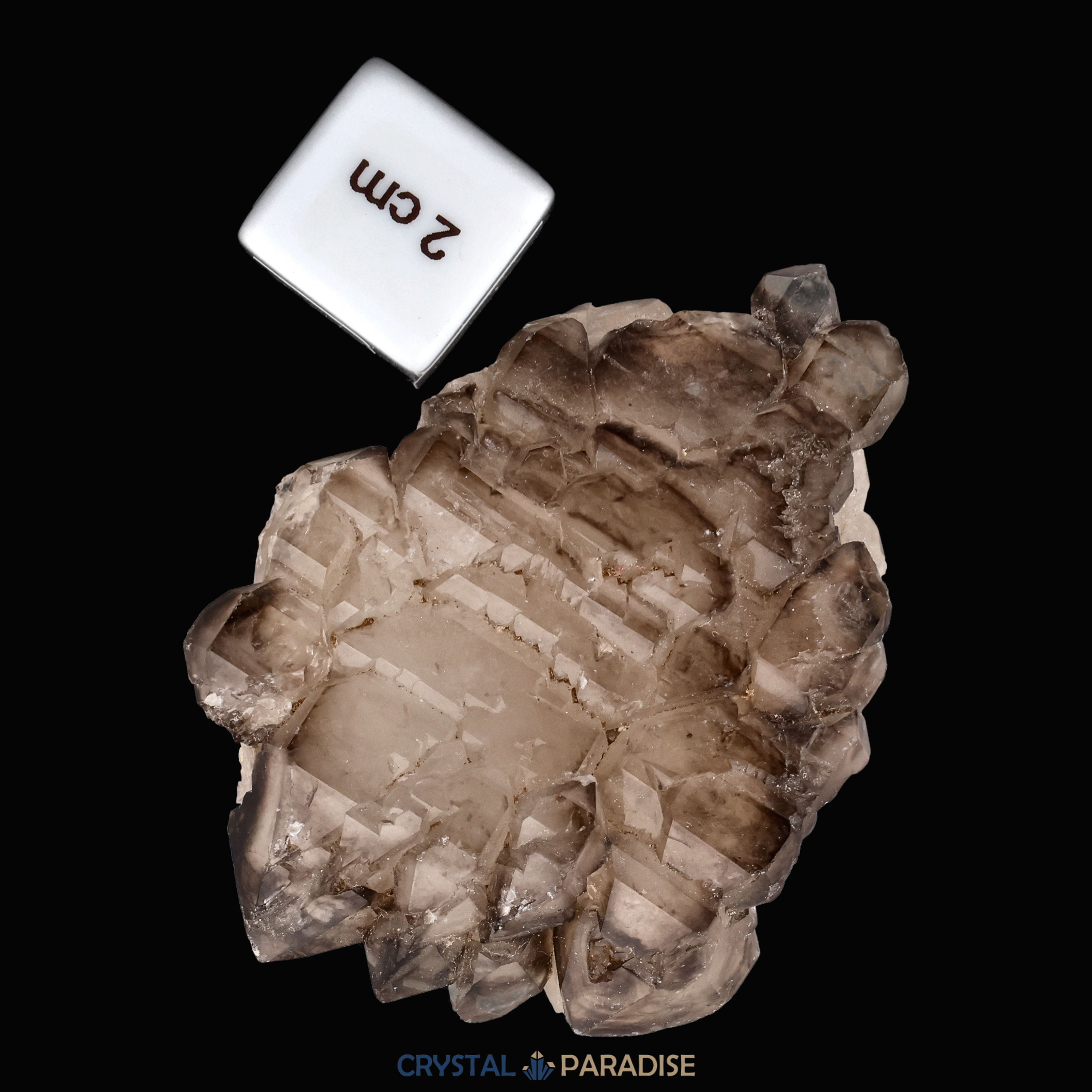Rauchquarz Skelettquarz aus Brasilien (104g) – Ansicht 9