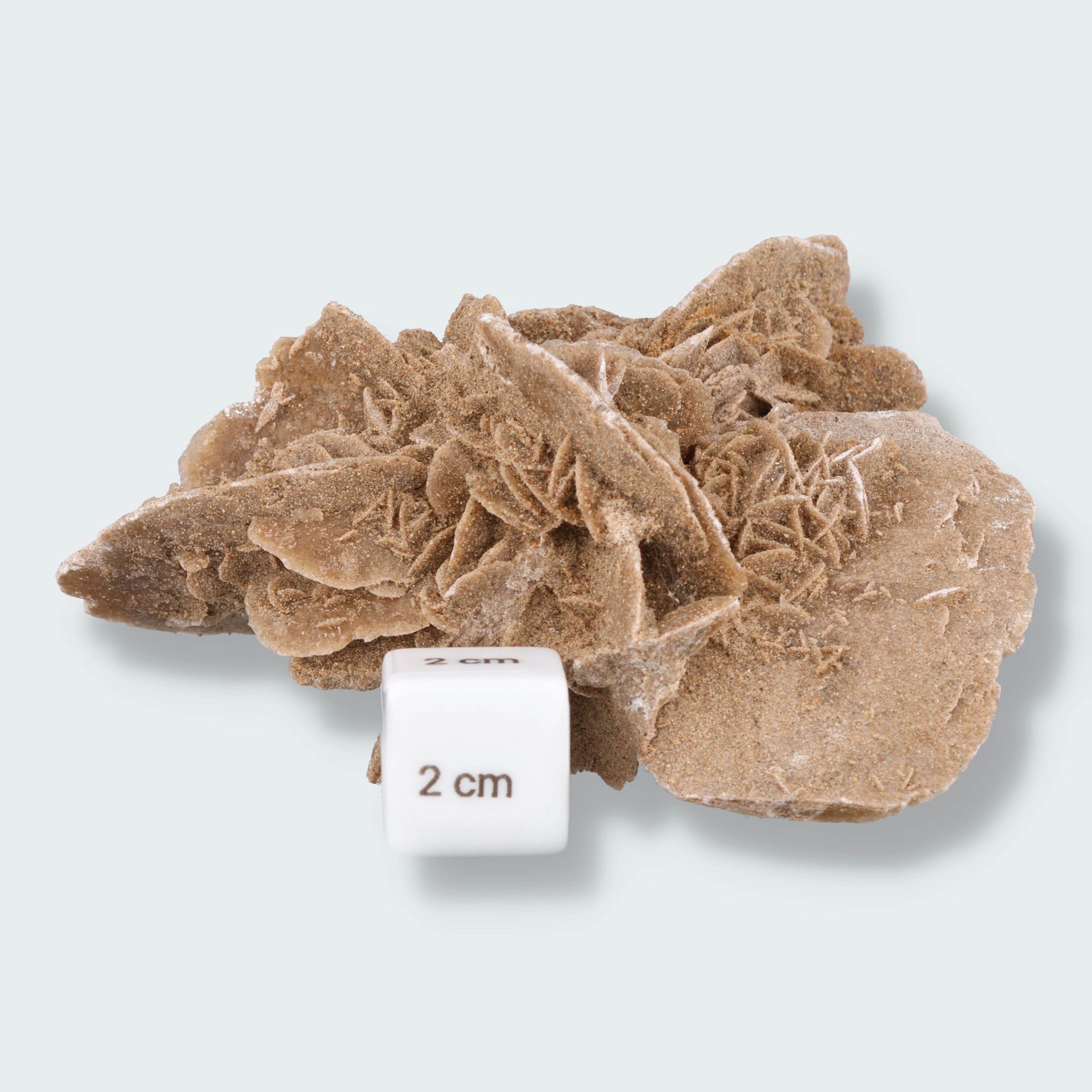 Sandrose aus der inneren Mongolei, China (303g) – Ansicht 2
