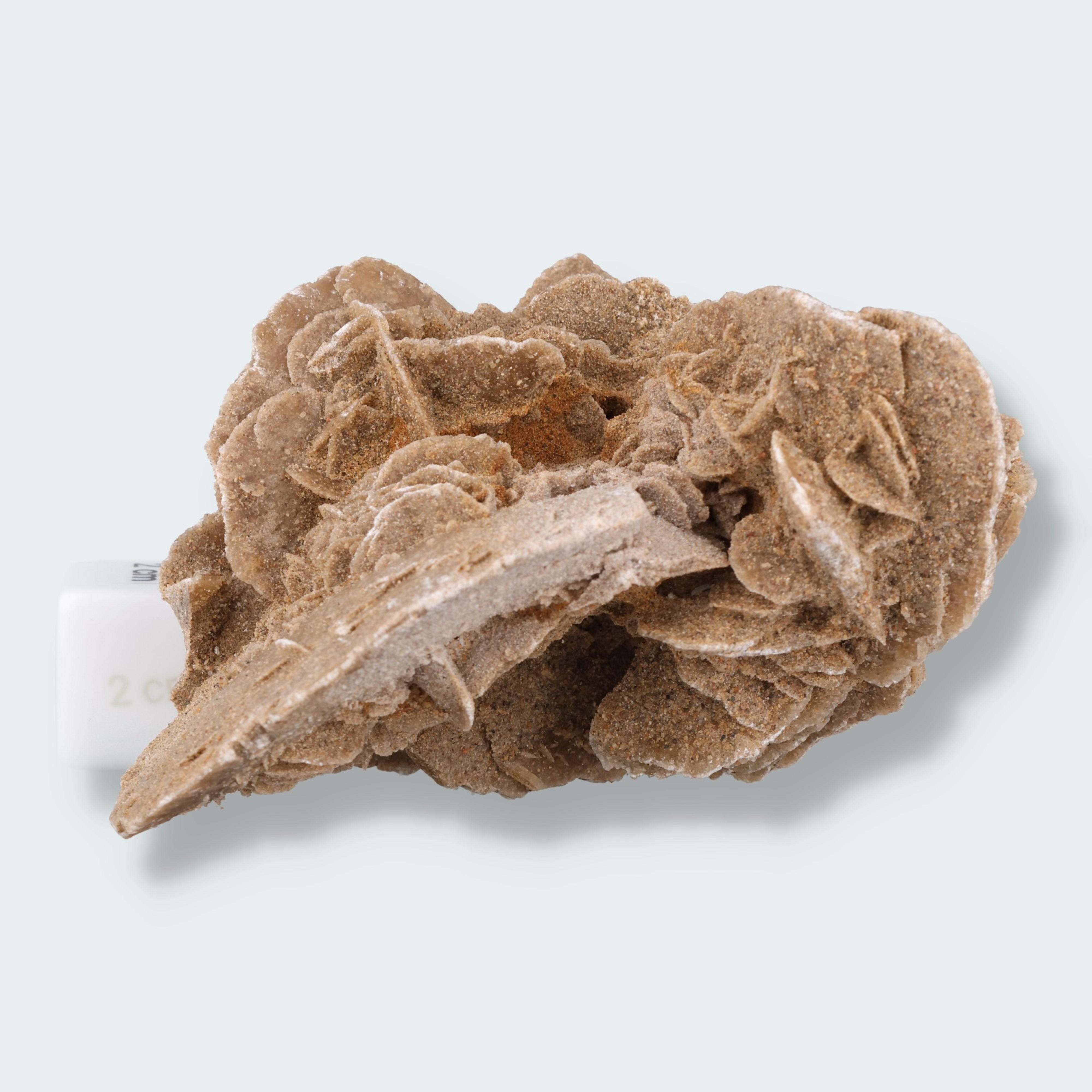 Sandrose aus der inneren Mongolei, China (303g) – Ansicht 4