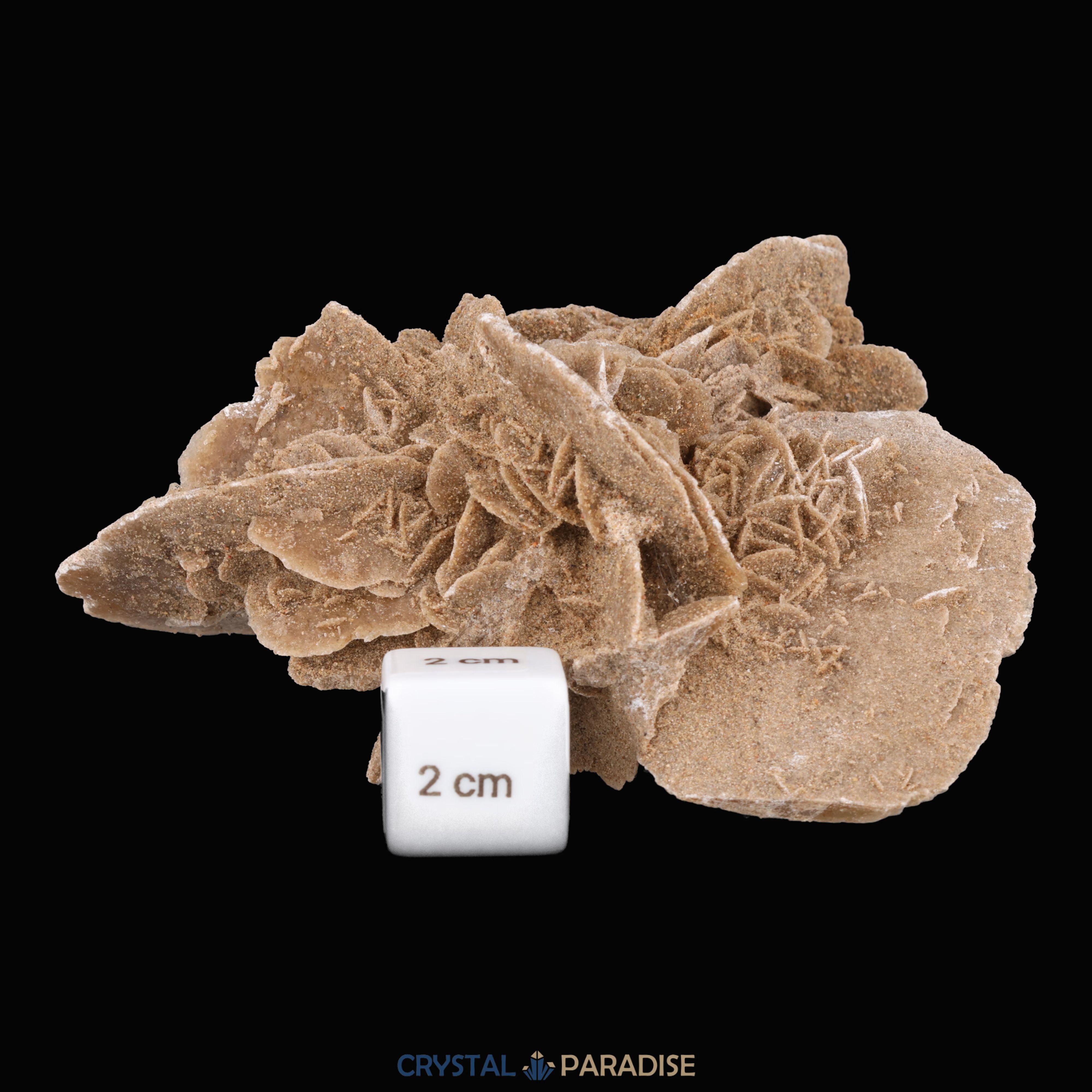 Sandrose aus der inneren Mongolei, China (303g) – Ansicht 5