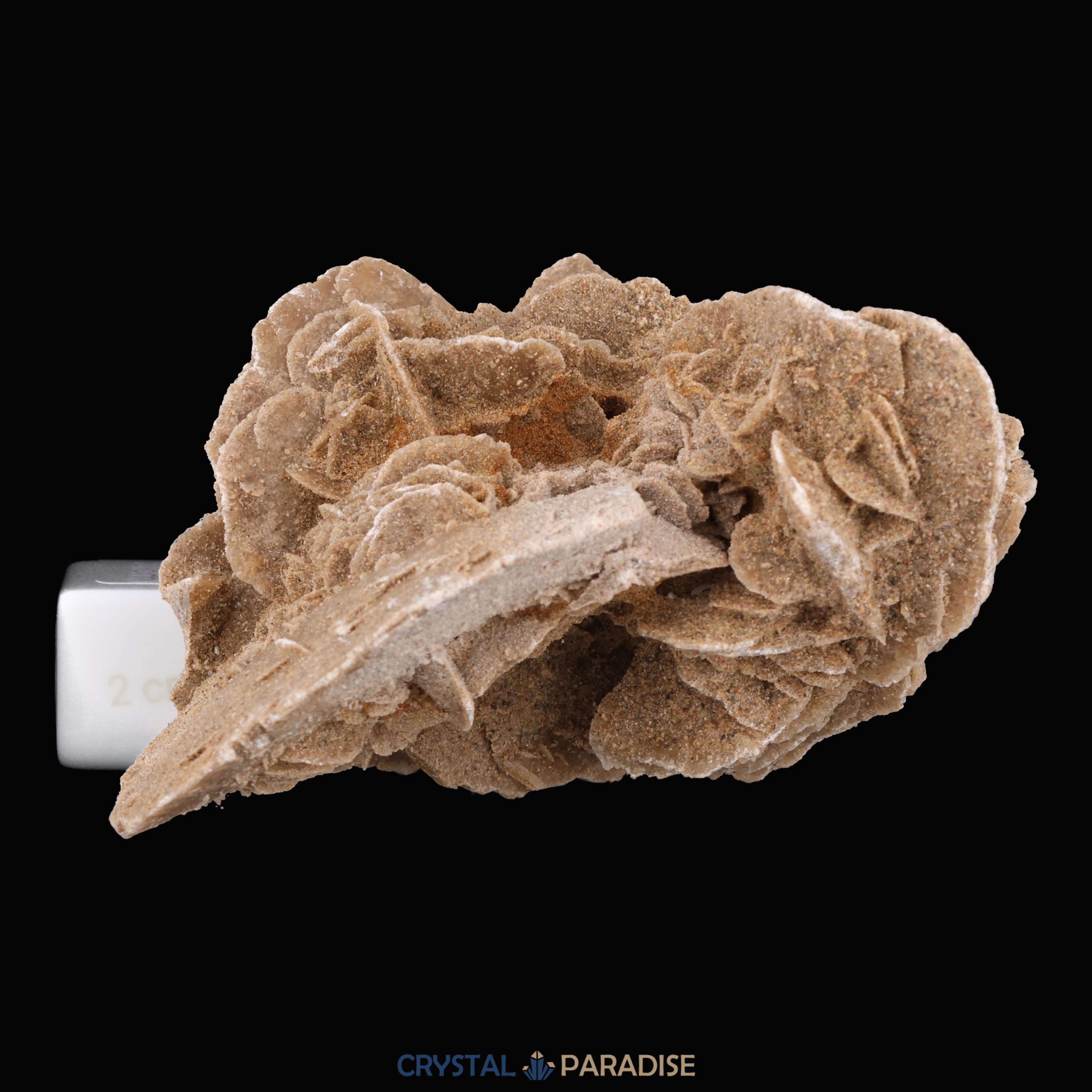 Sandrose aus der inneren Mongolei, China (303g) – Ansicht 7
