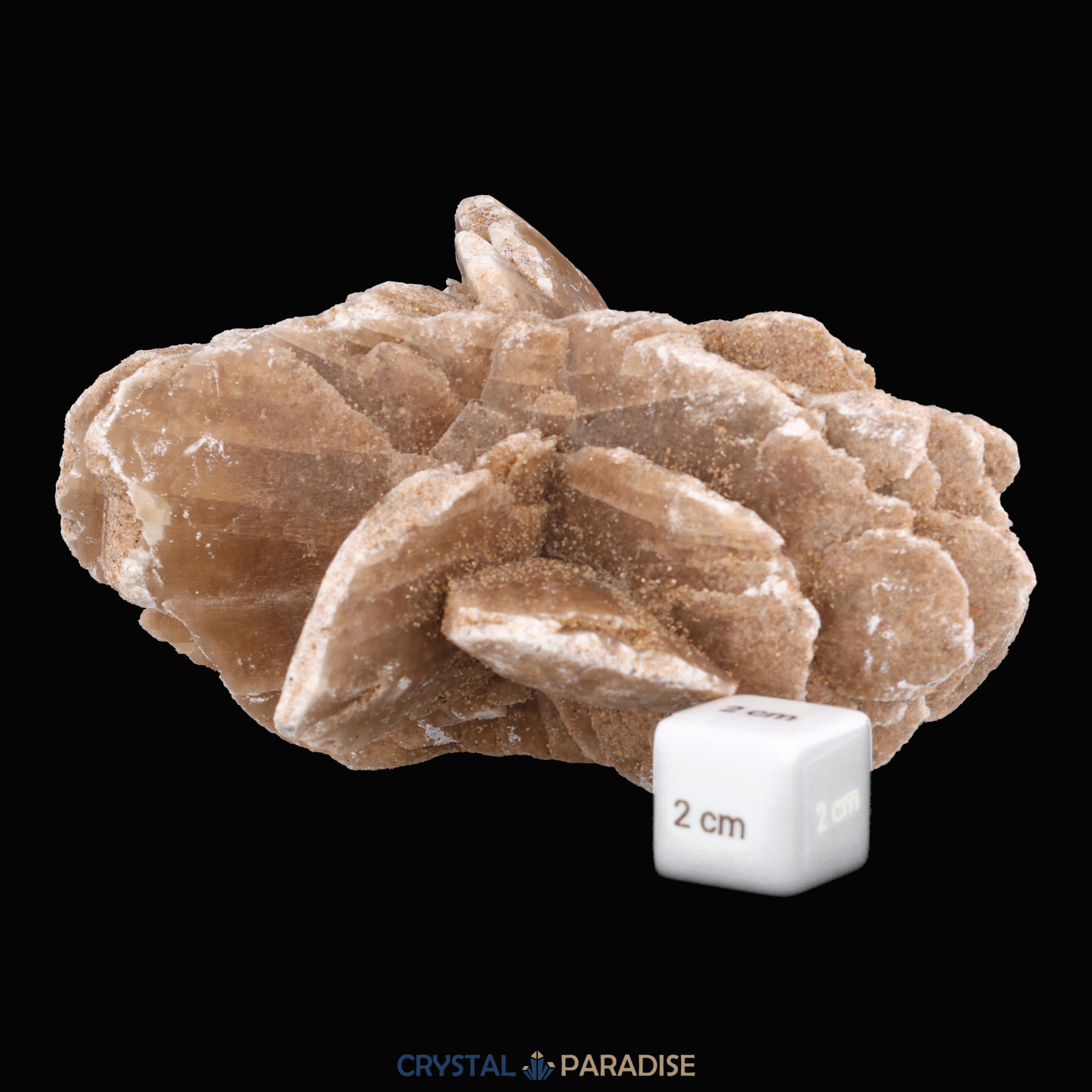 Sandrose aus der inneren Mongolei, China (585g) – Ansicht 6