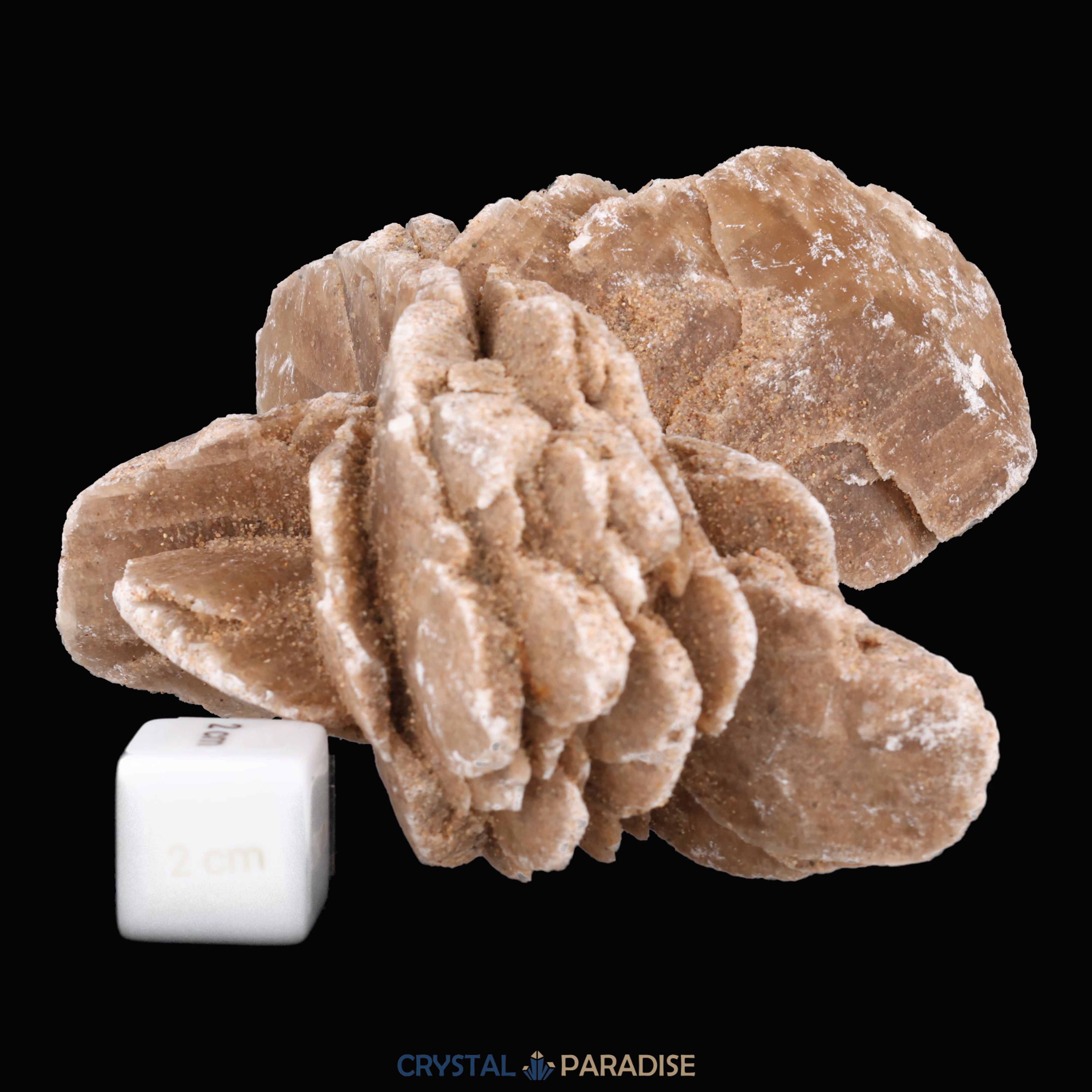 Sandrose aus der inneren Mongolei, China (585g) – Ansicht 7
