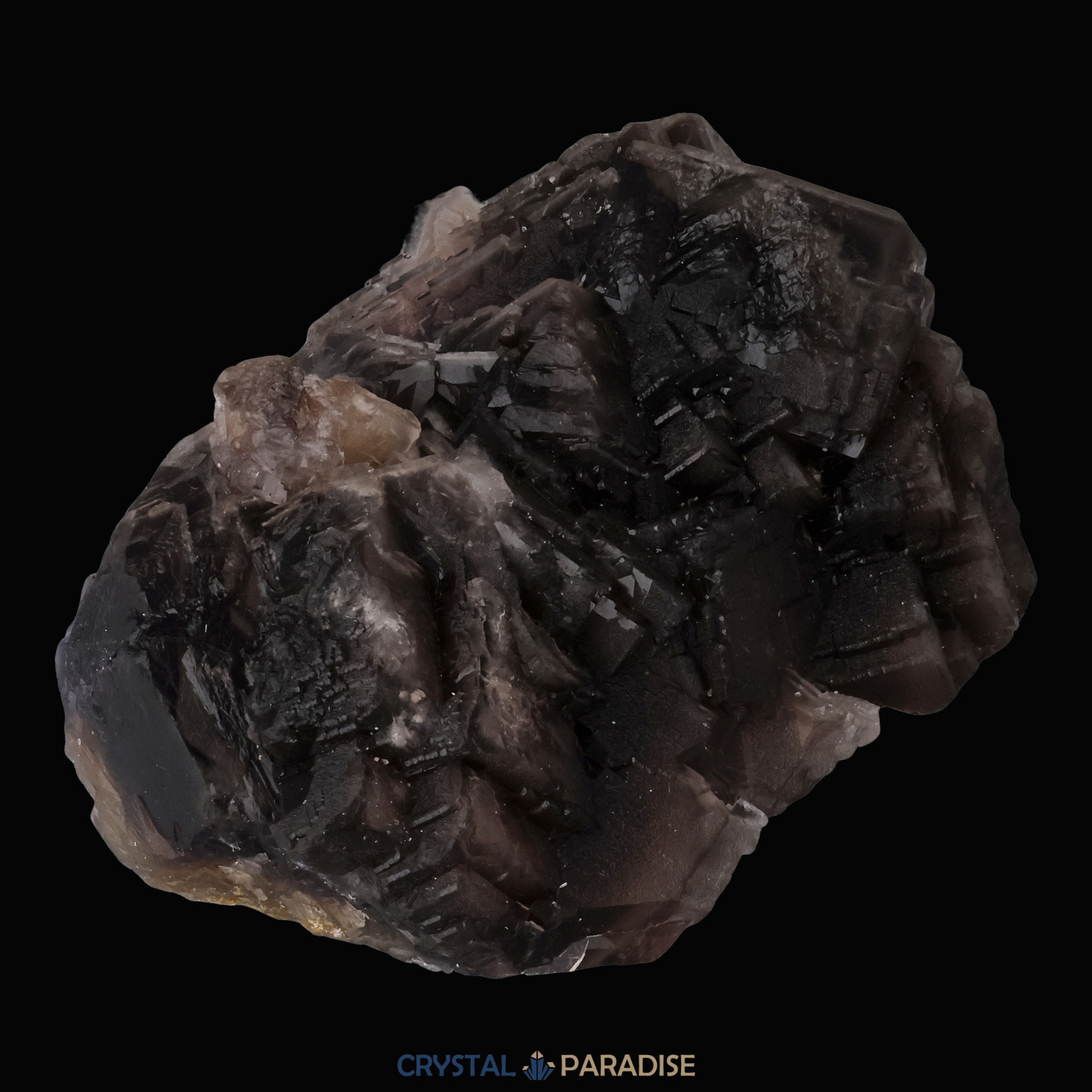 Schwarzer Rosen-Fluorit aus Baluchistan Pakistan (280g) – Ansicht 14