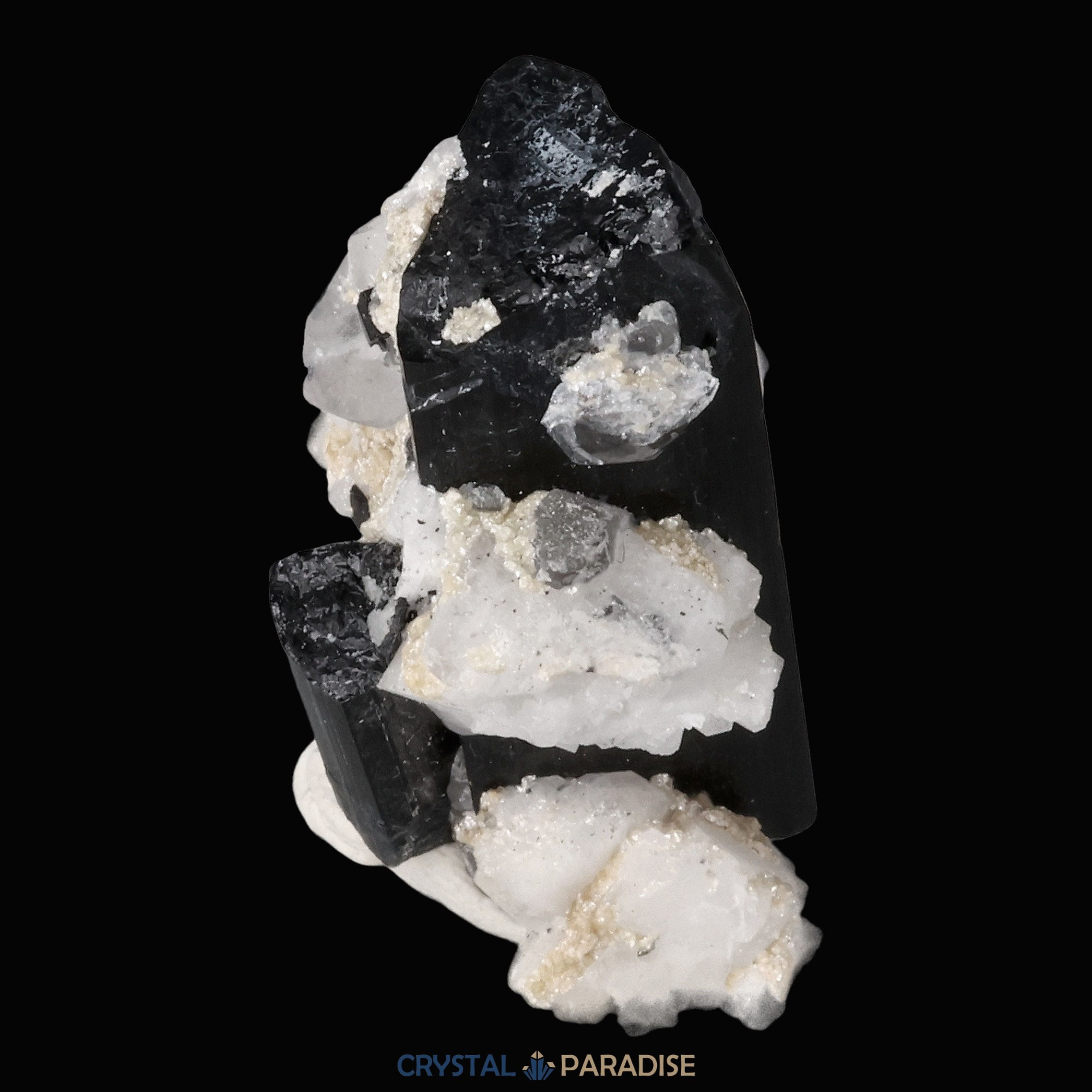 Schwarzer Schörl Turmalin an Himalaya Bergkristall (17g) – Ansicht 5