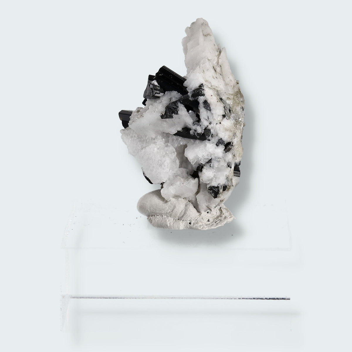 Schwarzer Schörl Turmalin an Himalaya Bergkristall (23g) – Ansicht 11