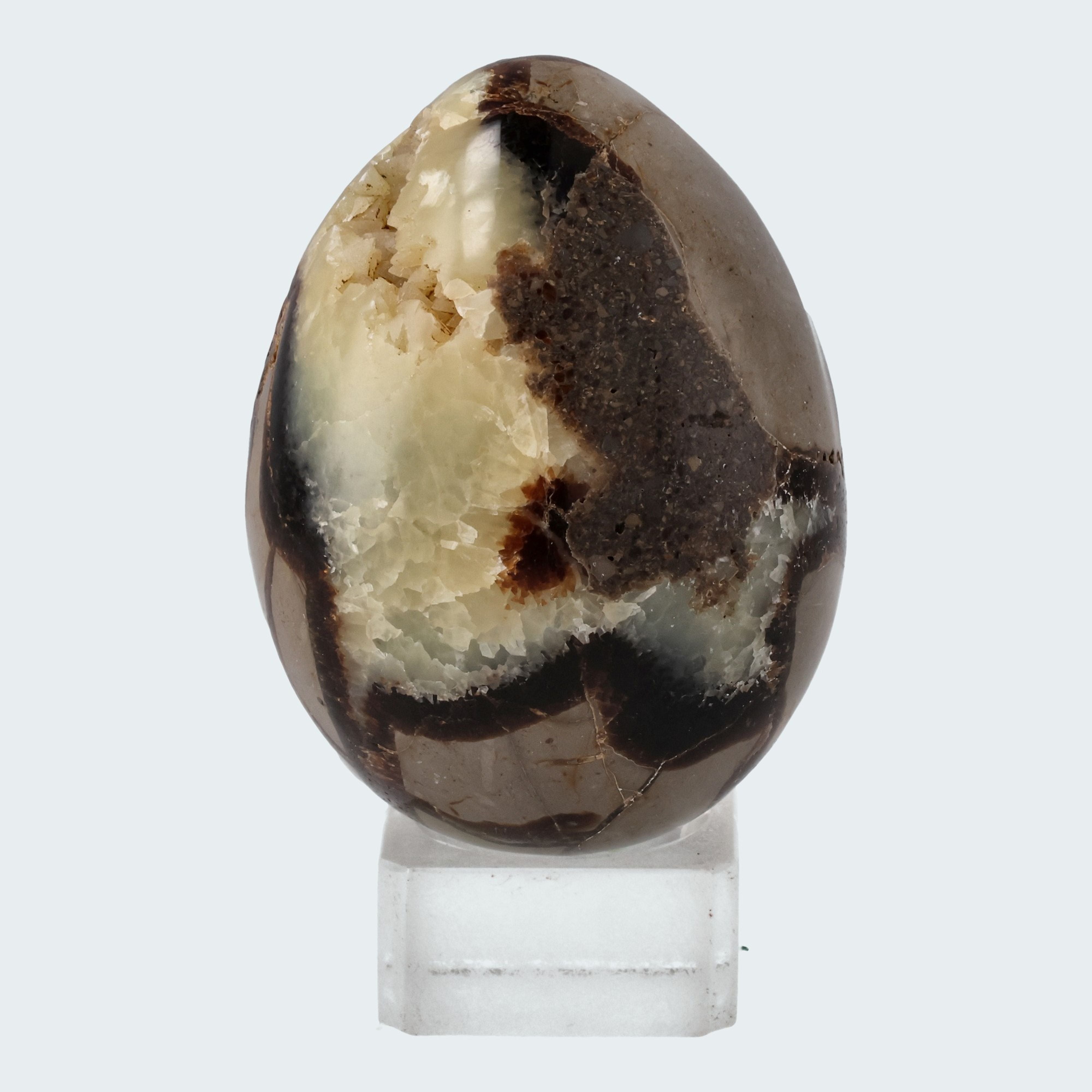 Septarie Druzy Eier (335-520g) – Ansicht 3