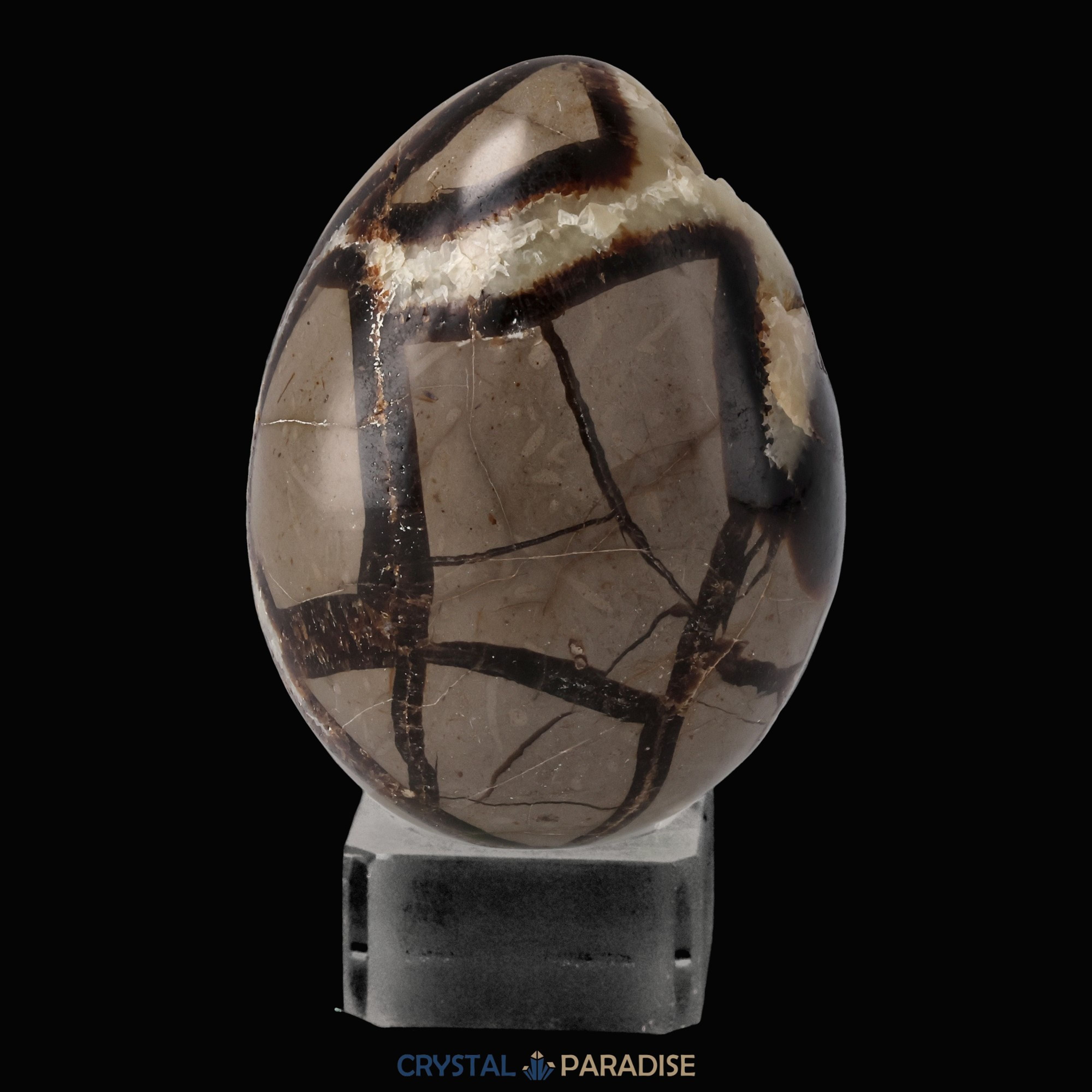 Septarie Druzy Eier (335-520g) – Ansicht 7