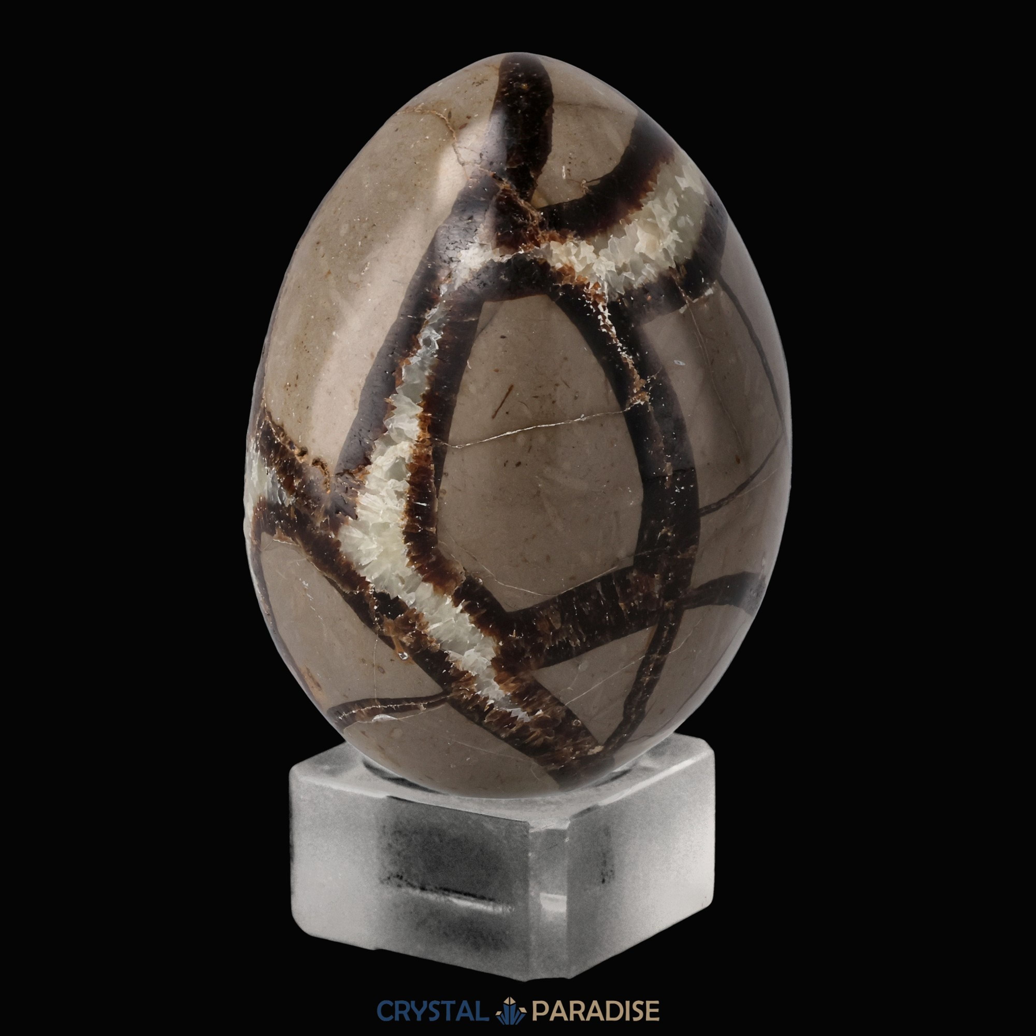 Septarie Druzy Eier (335-520g) – Ansicht 9