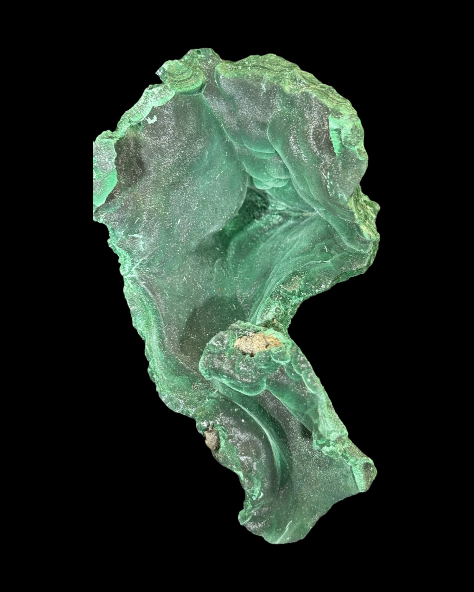 velvet malachit 452g vor schwarzem Hintergrund