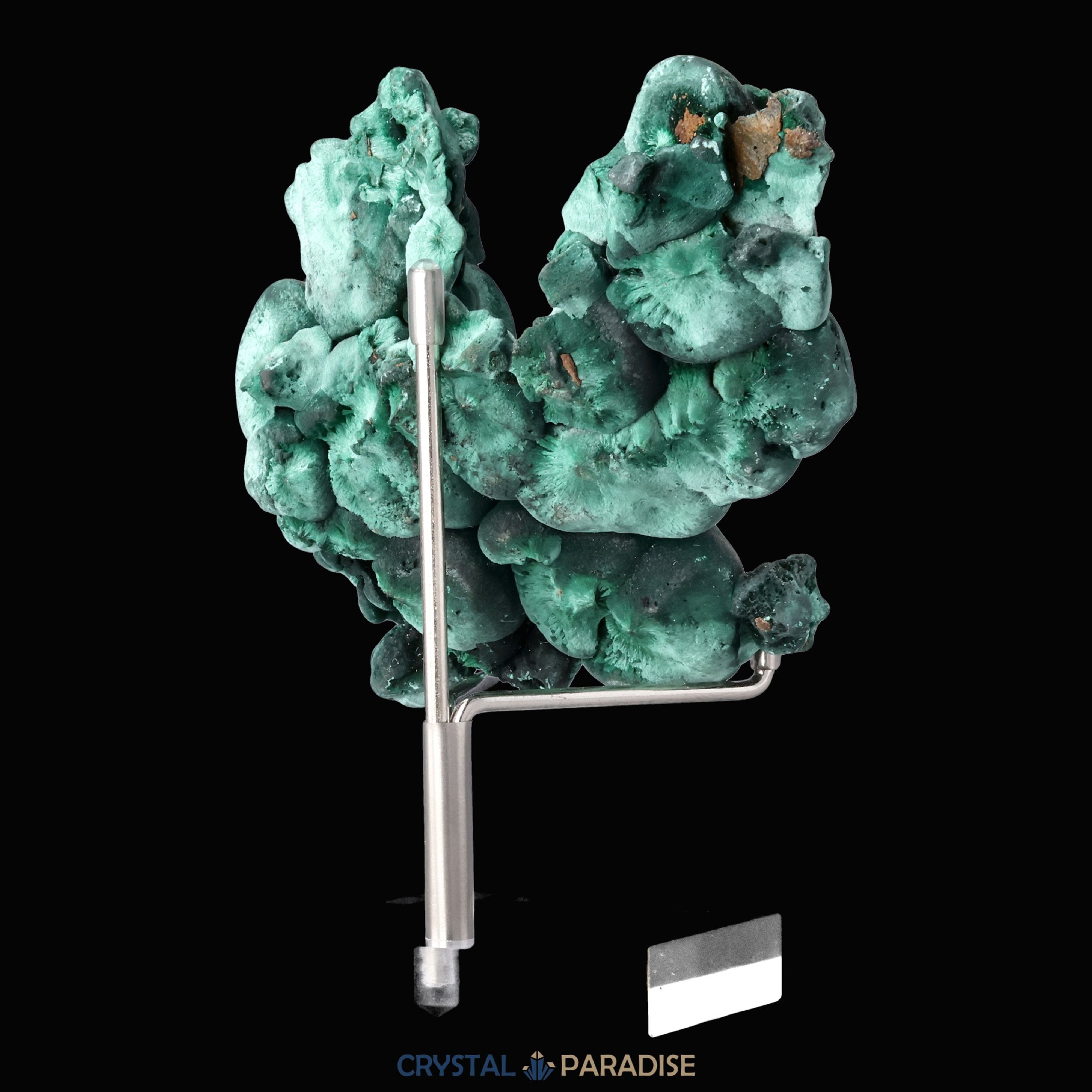 Velvet Malachit Stufe aus der Tantara Mine, Kongo (241g) – Ansicht 11