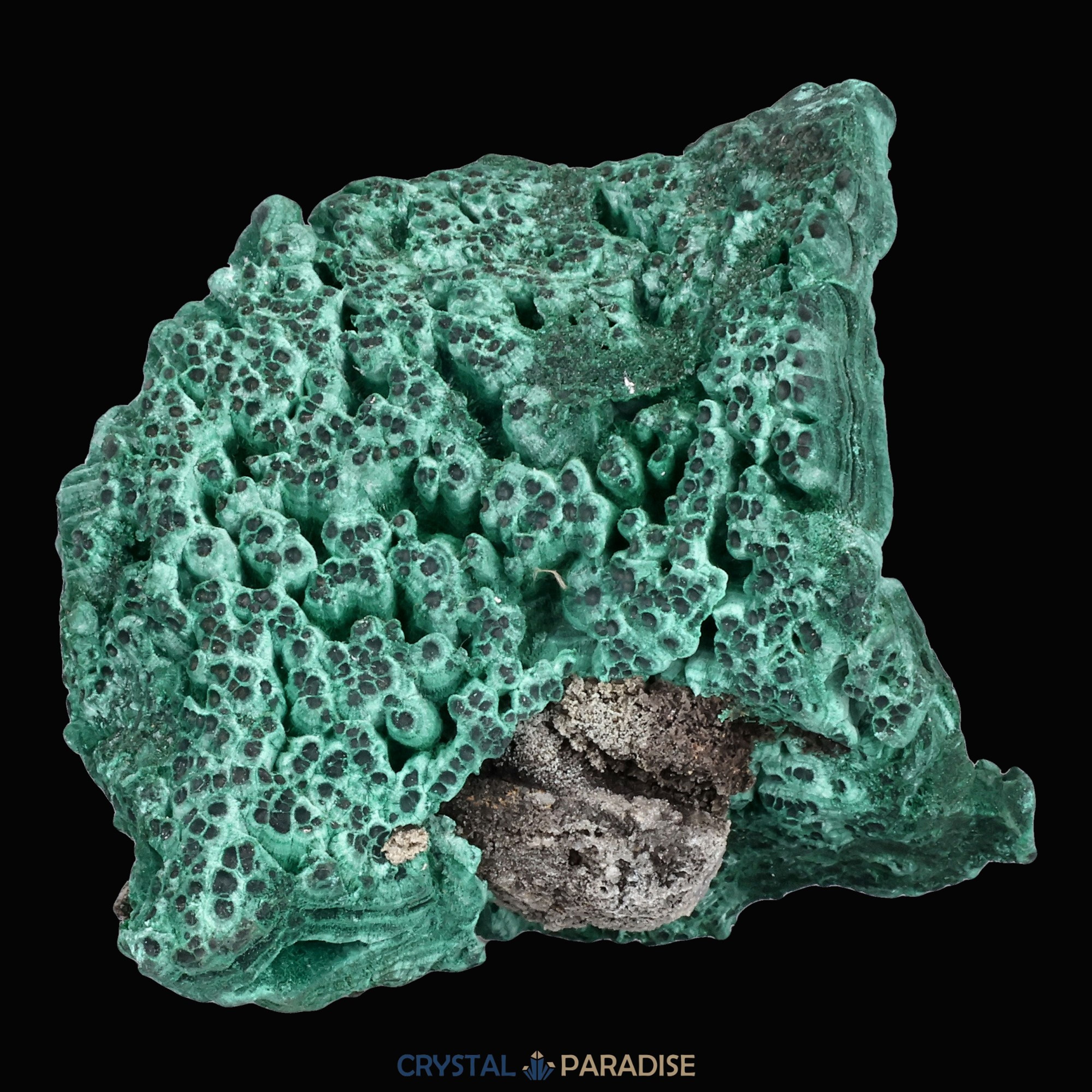 Velvet Malachit Stufe aus der Tantara Mine, Kongo (452g) – Ansicht 21