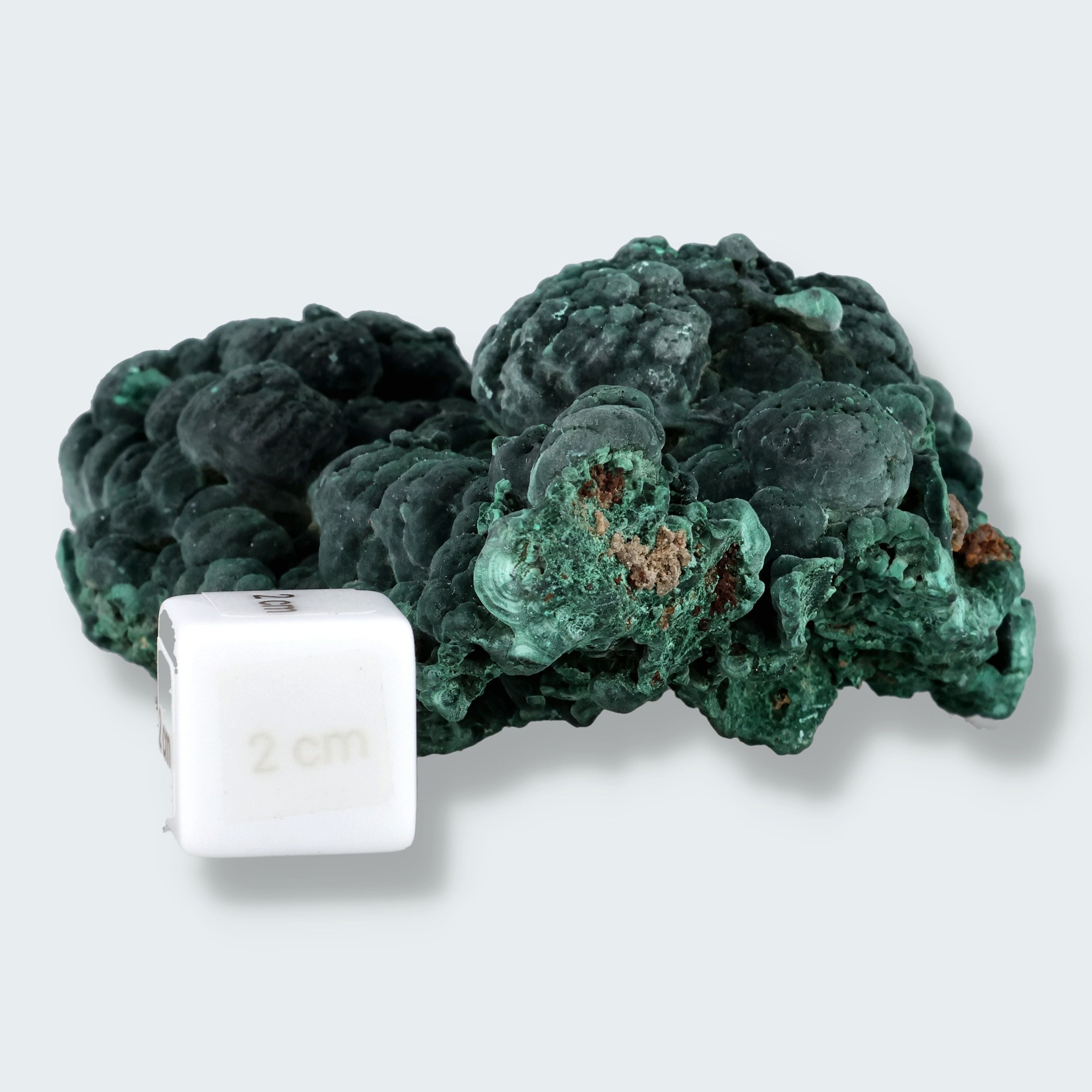 Velvet Samt Malachit Stufe aus der Tantara Mine, Kongo (340g) – Ansicht 6