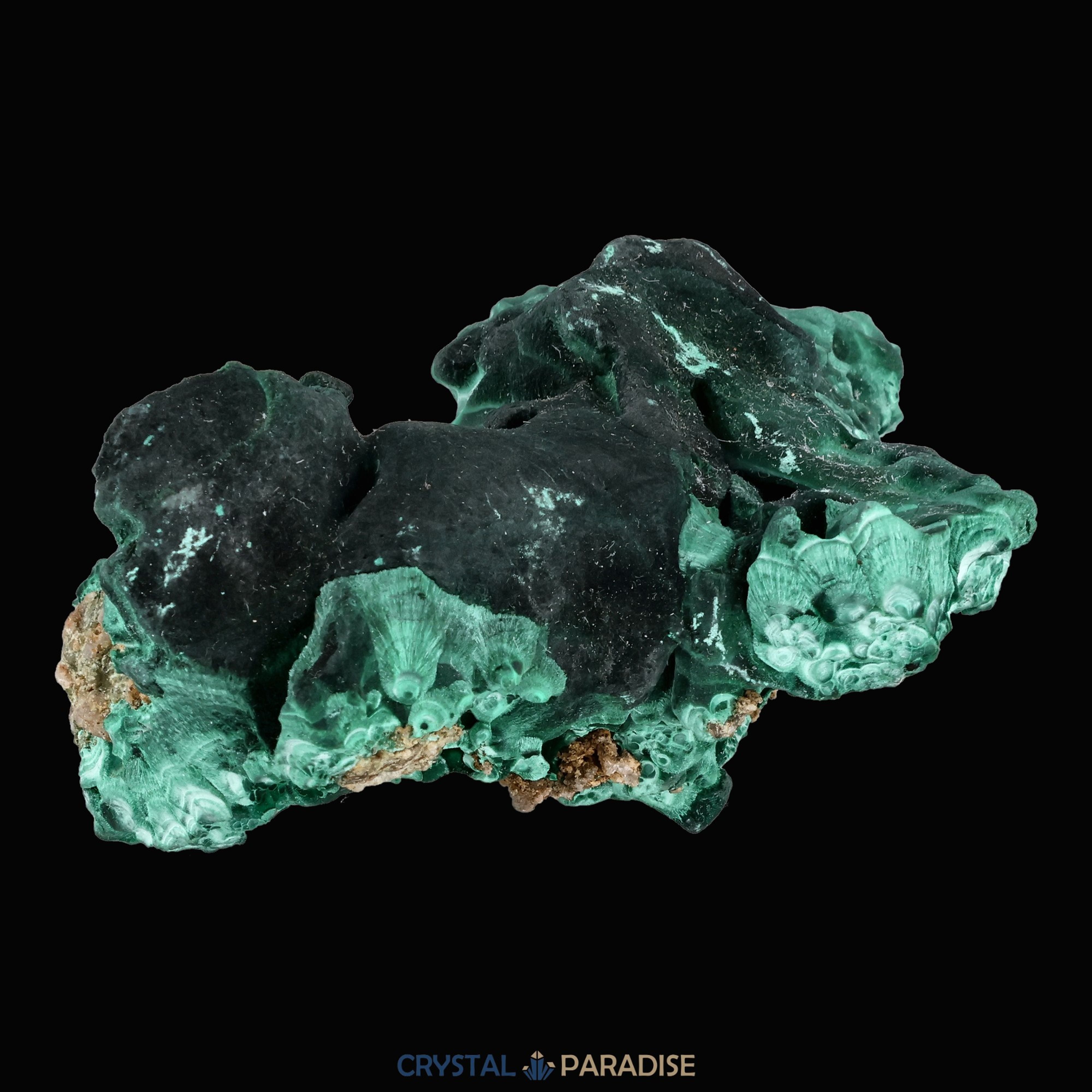 Velvet Samt Malachit Stufe aus der Tantara Mine, Kongo (343g) – Ansicht 7
