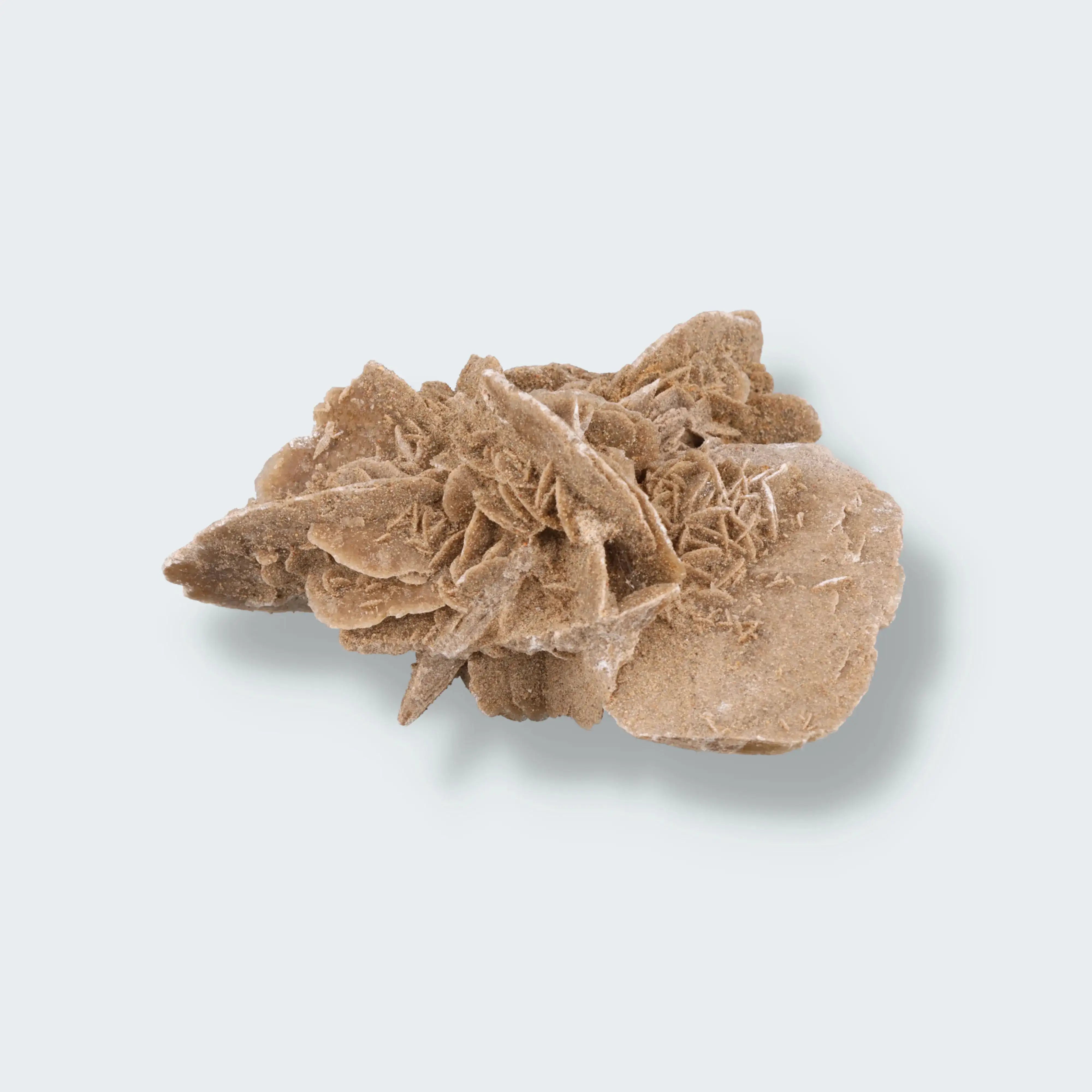 Sandrose aus der inneren Mongolei, China (303g)