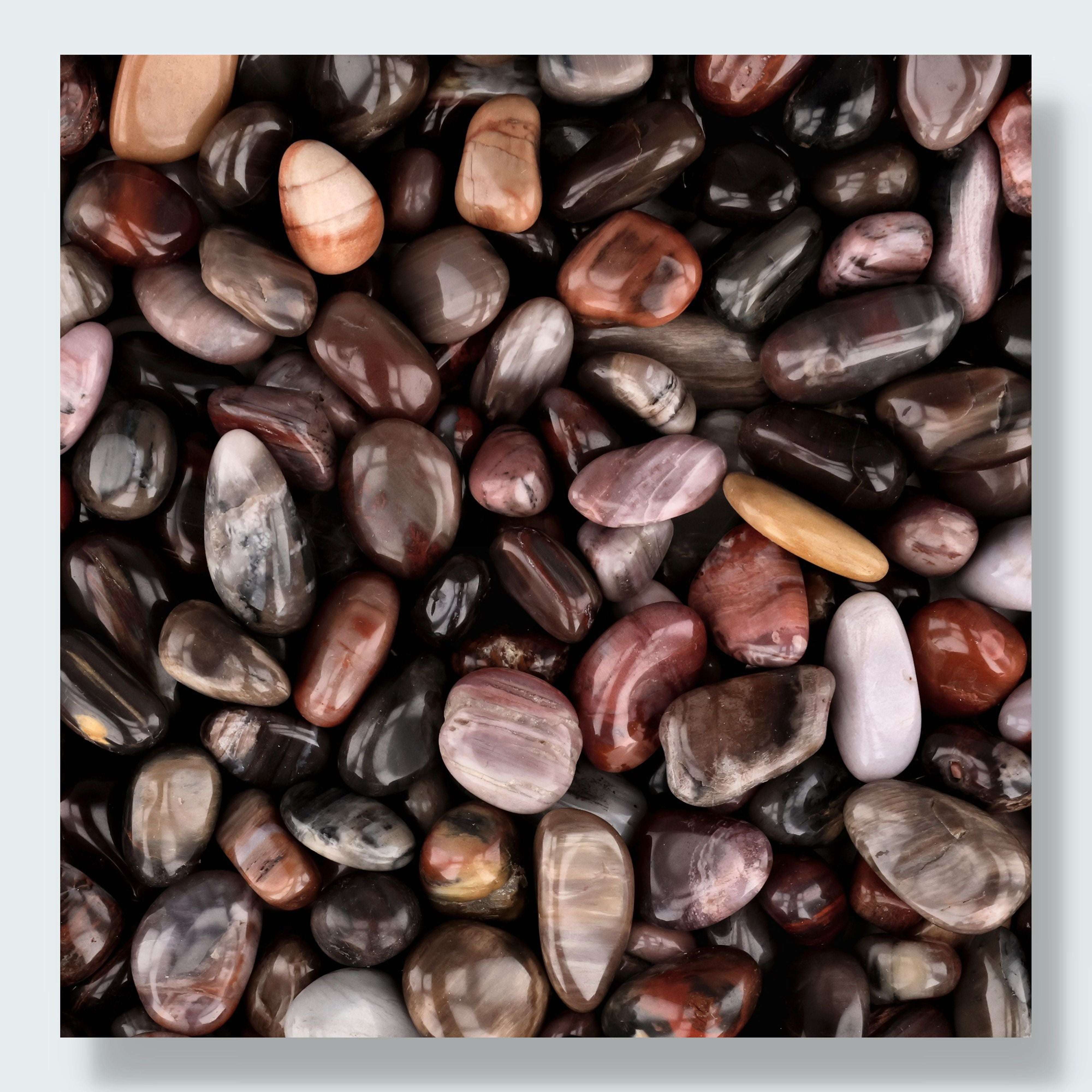 Versteinertes Holz Trommelsteine