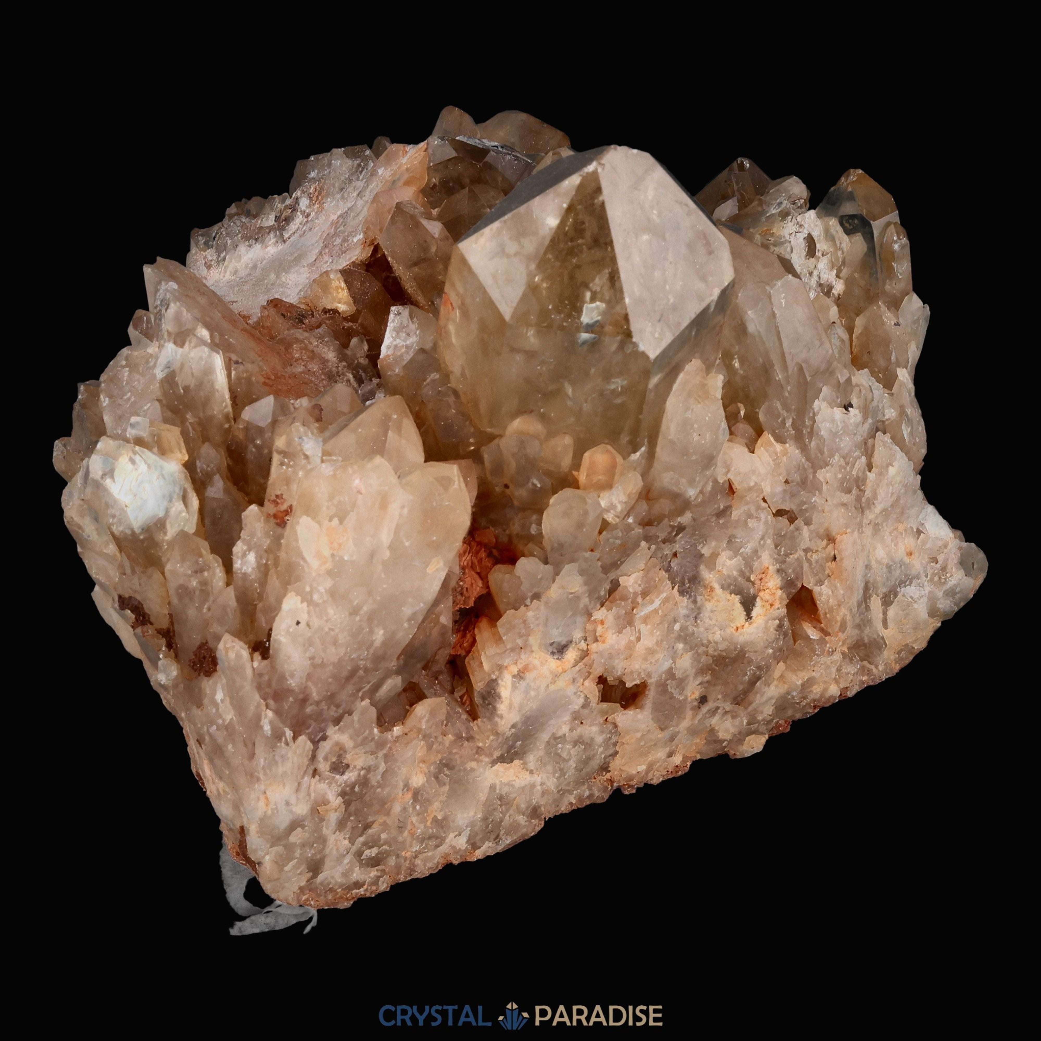Citrin Handstufe aus Kunduluni, Kongo (1707g) - unbehandelt - crystal paradise