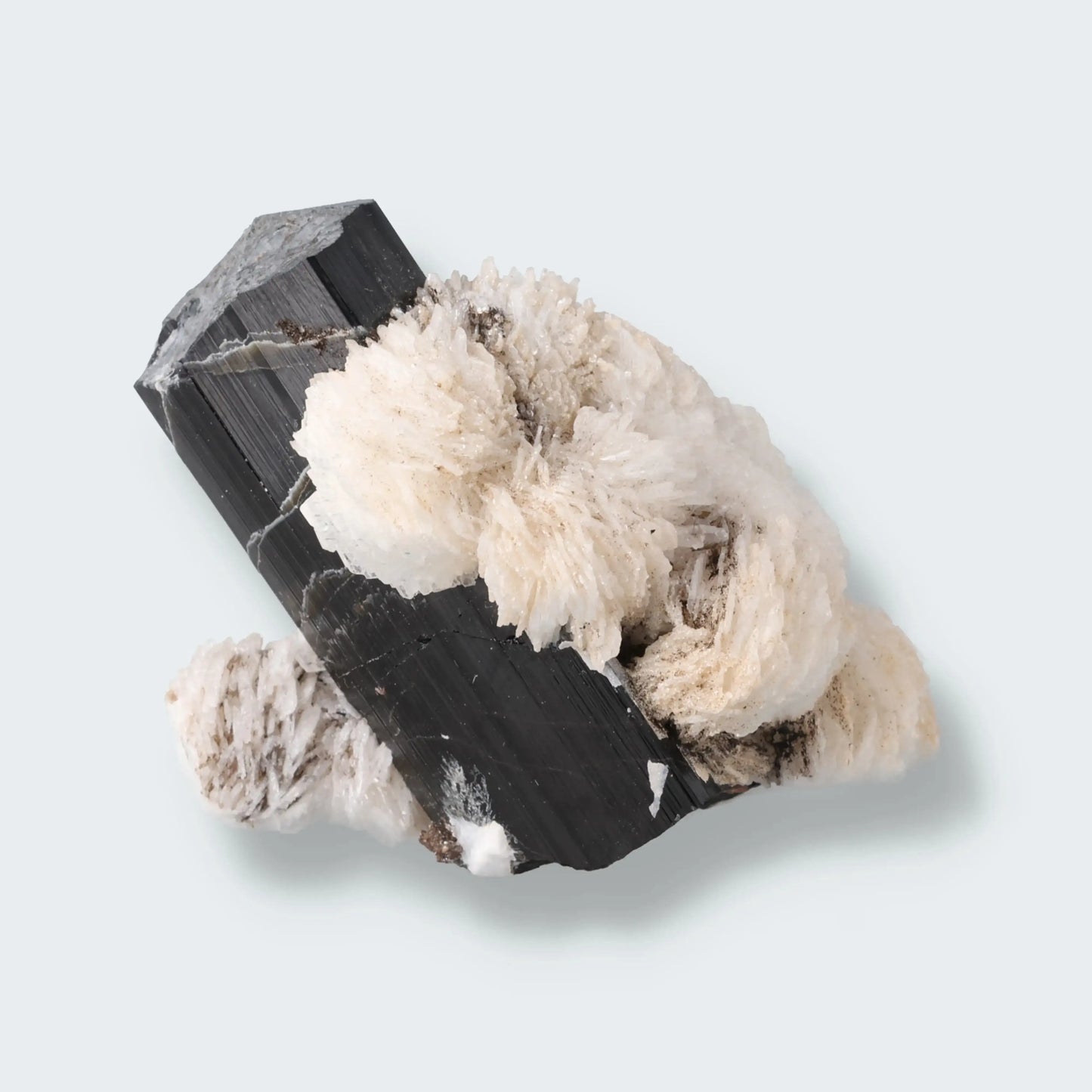 Schwarzer Schörl Turmalin an Baryt aus Pakistan (92g)