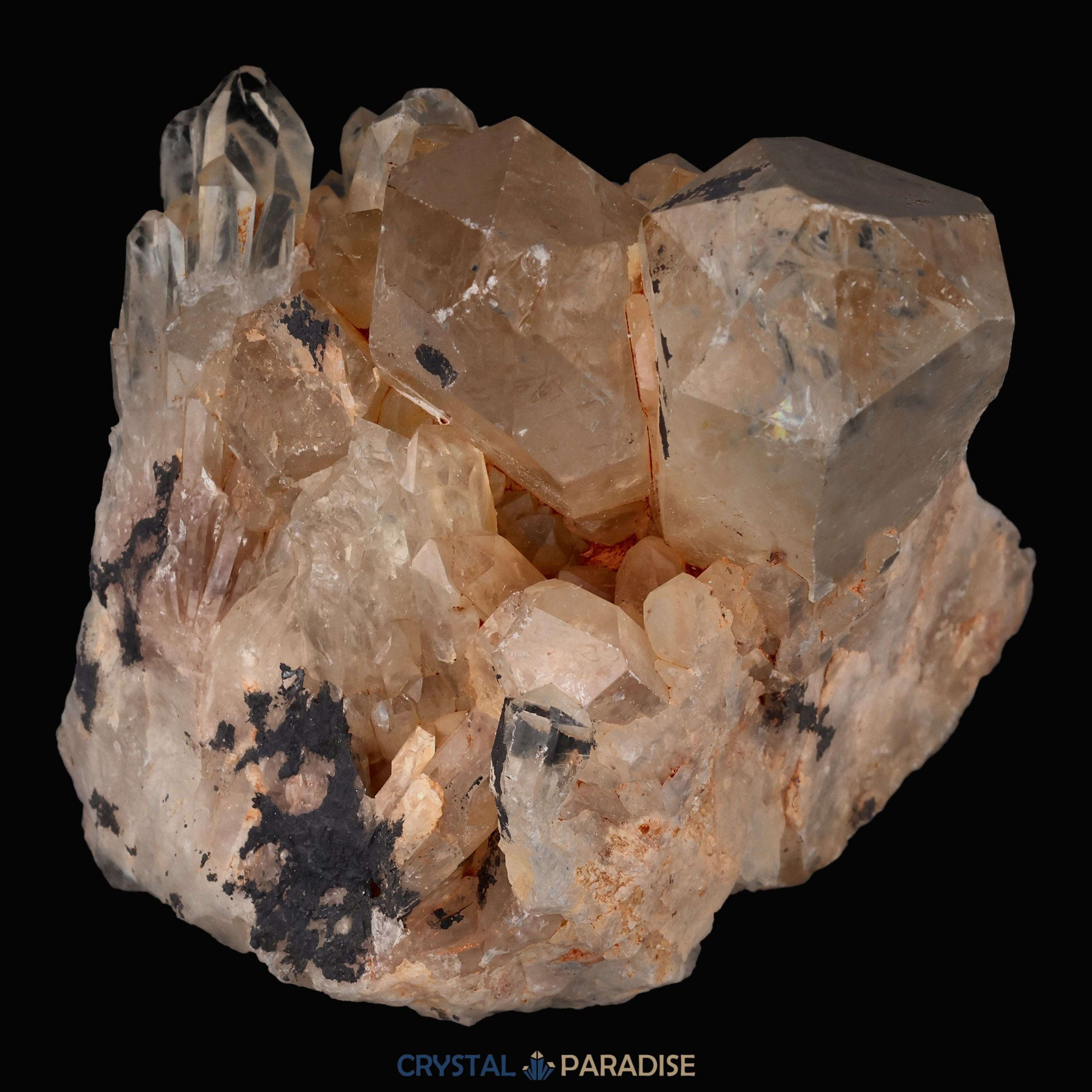Citrin Handstufe aus Kunduluni, Kongo (660g) - unbehandelt - crystal paradise