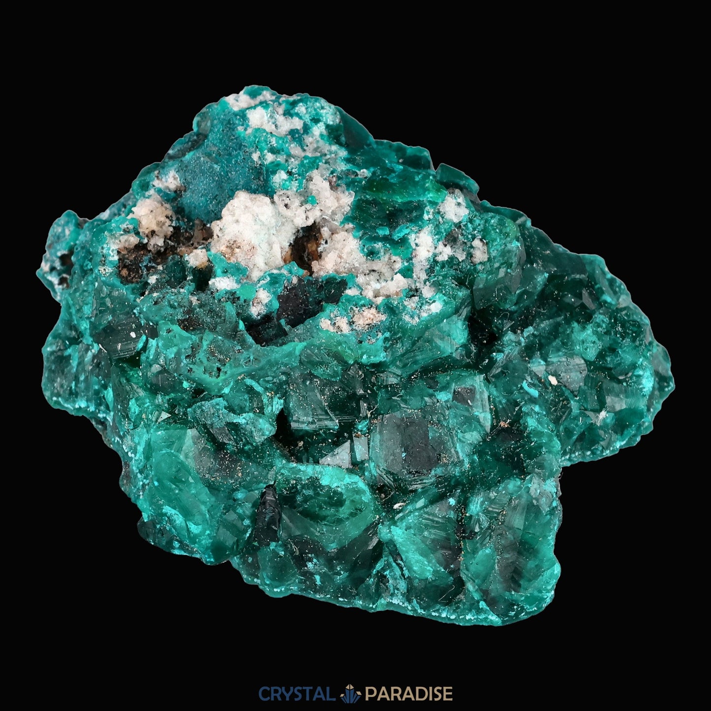 Dioptas aus dem Kongo (40,6) - crystal paradise