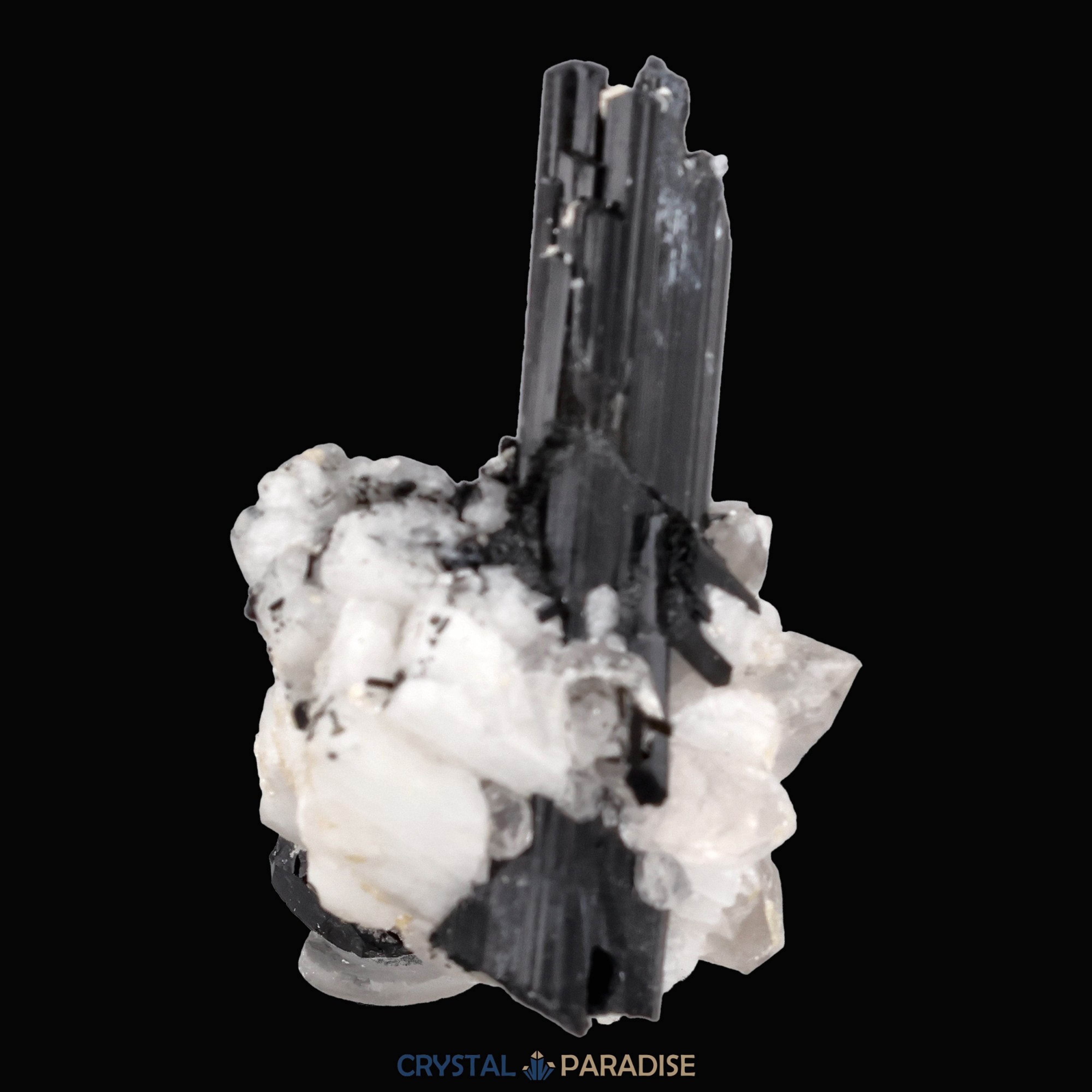 Schwarzer Schörl Turmalin an Himalaya Bergkristall (16g) - crystal paradise