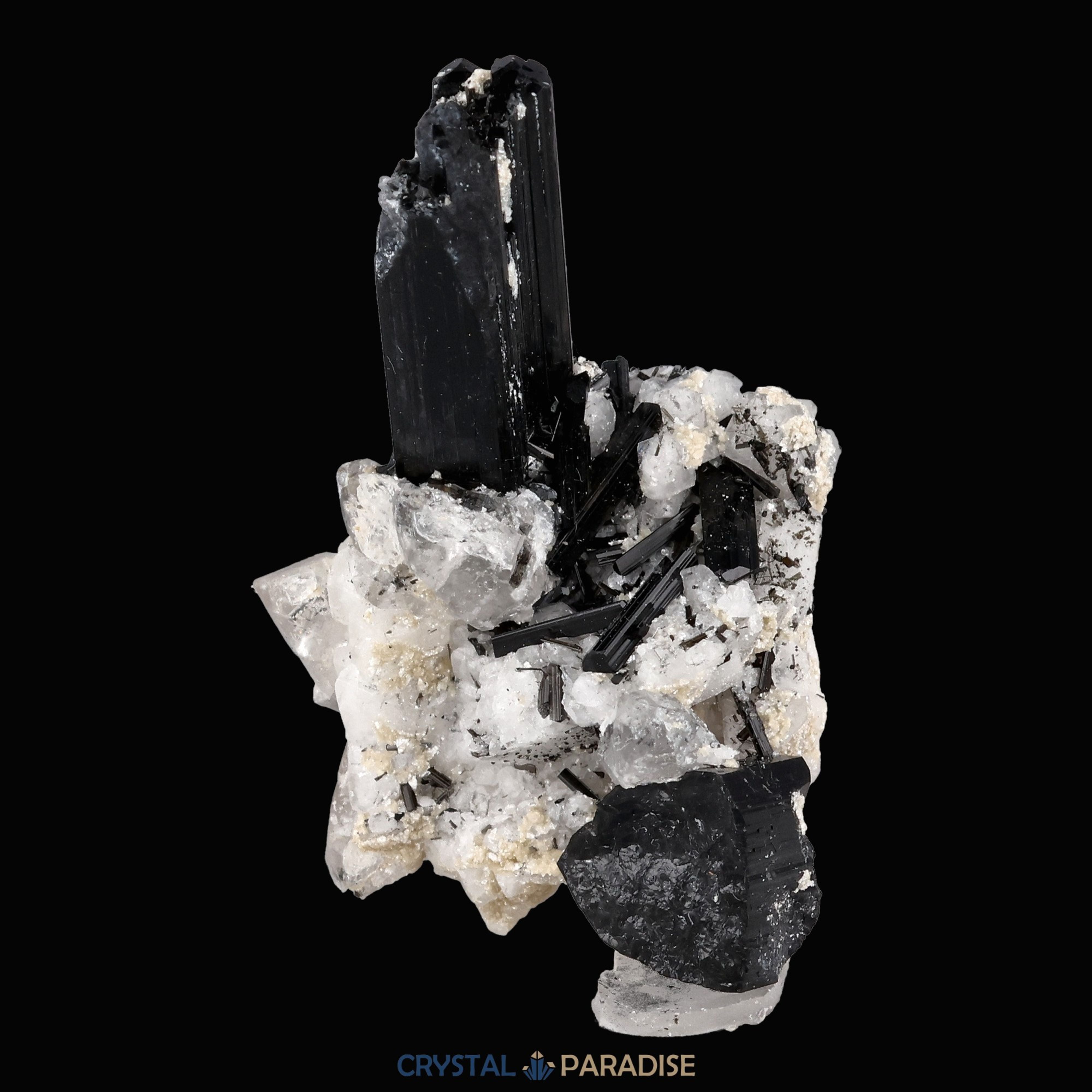 Schwarzer Schörl Turmalin an Himalaya Bergkristall (16g) - crystal paradise