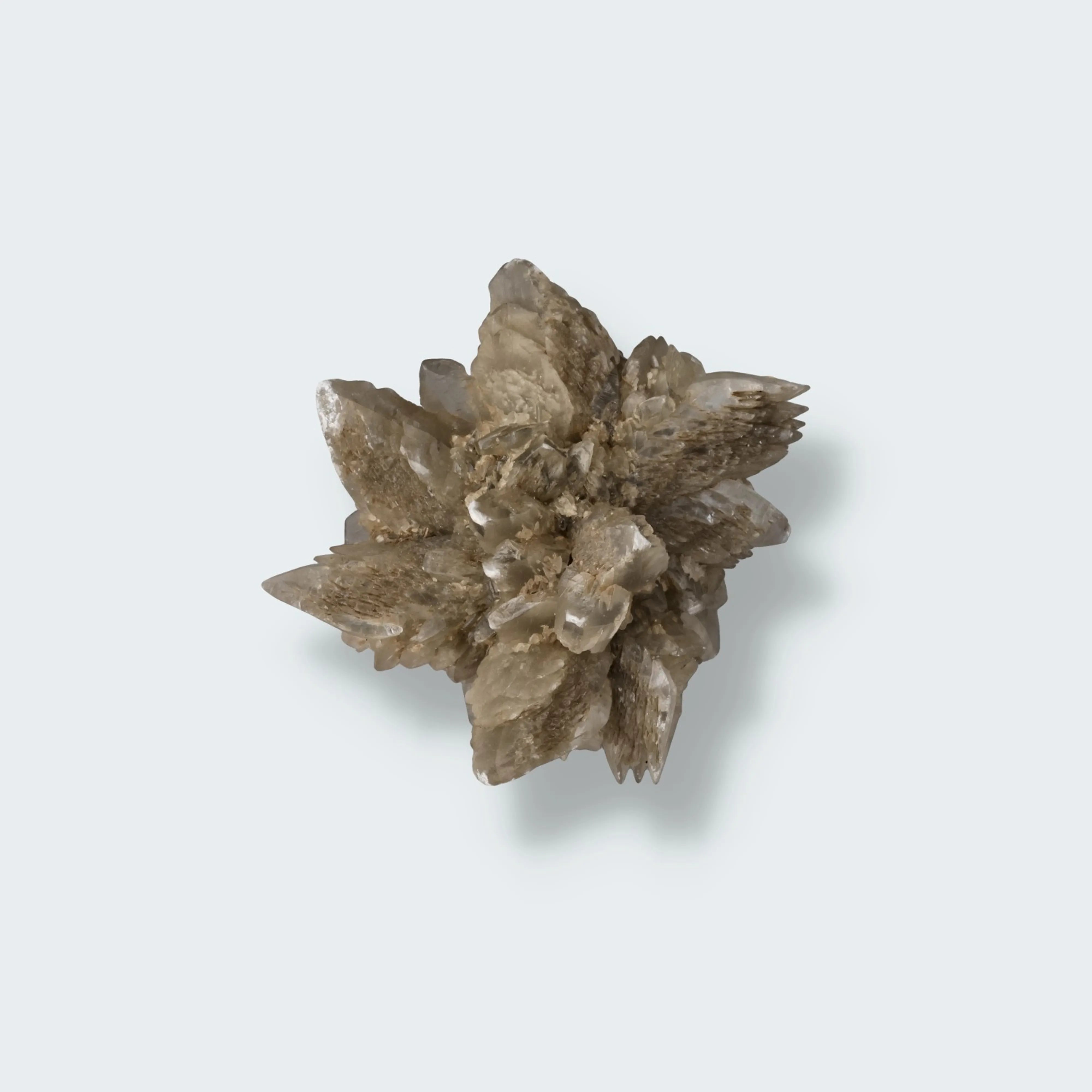 Selenit aus Hoxfeld (222g)