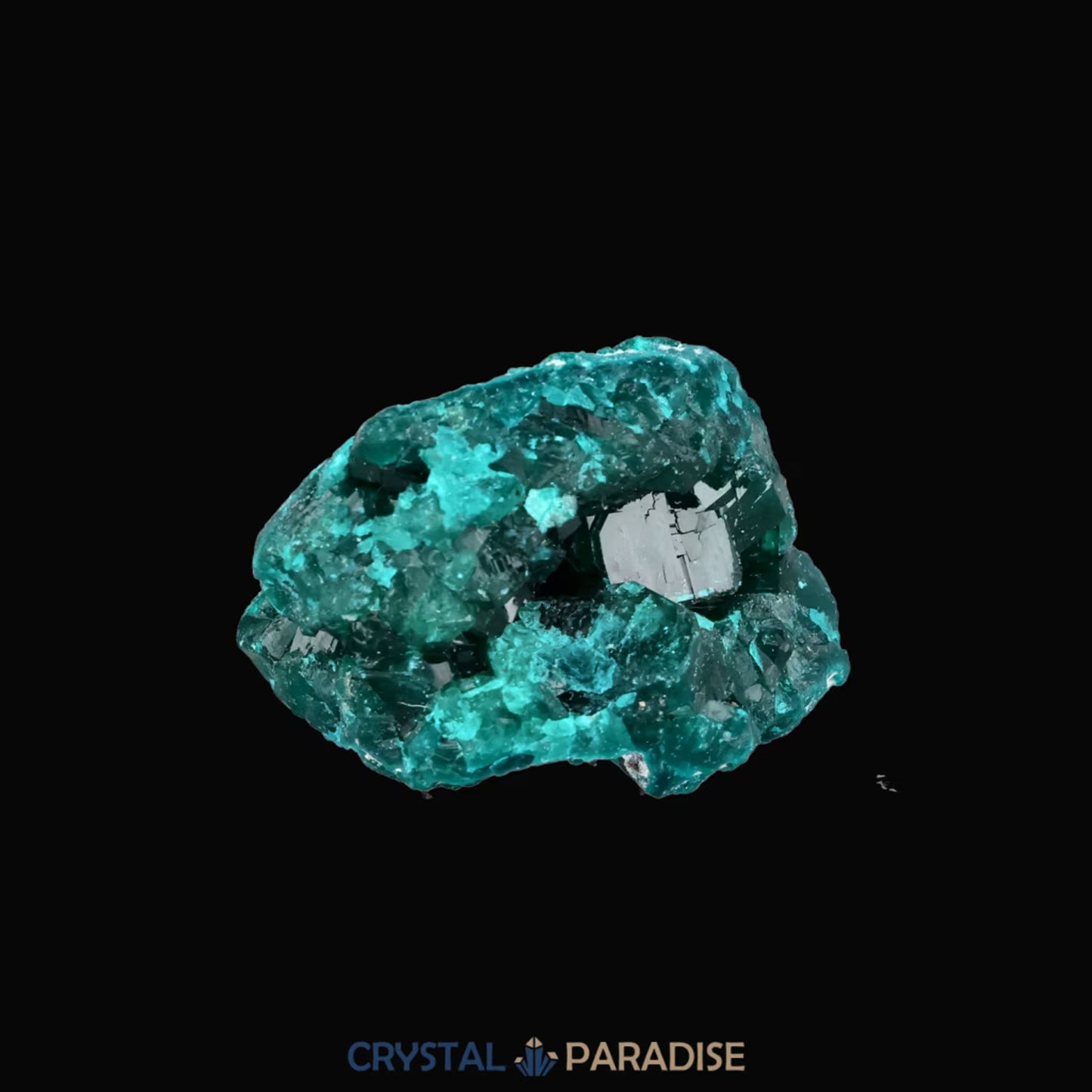 Dioptas aus dem Kongo (21,9g) - crystal paradise
