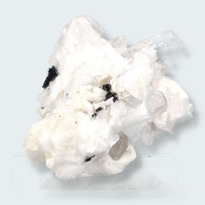 Schwarzer Schörl Turmalin an Himalaya Bergkristall (26g)