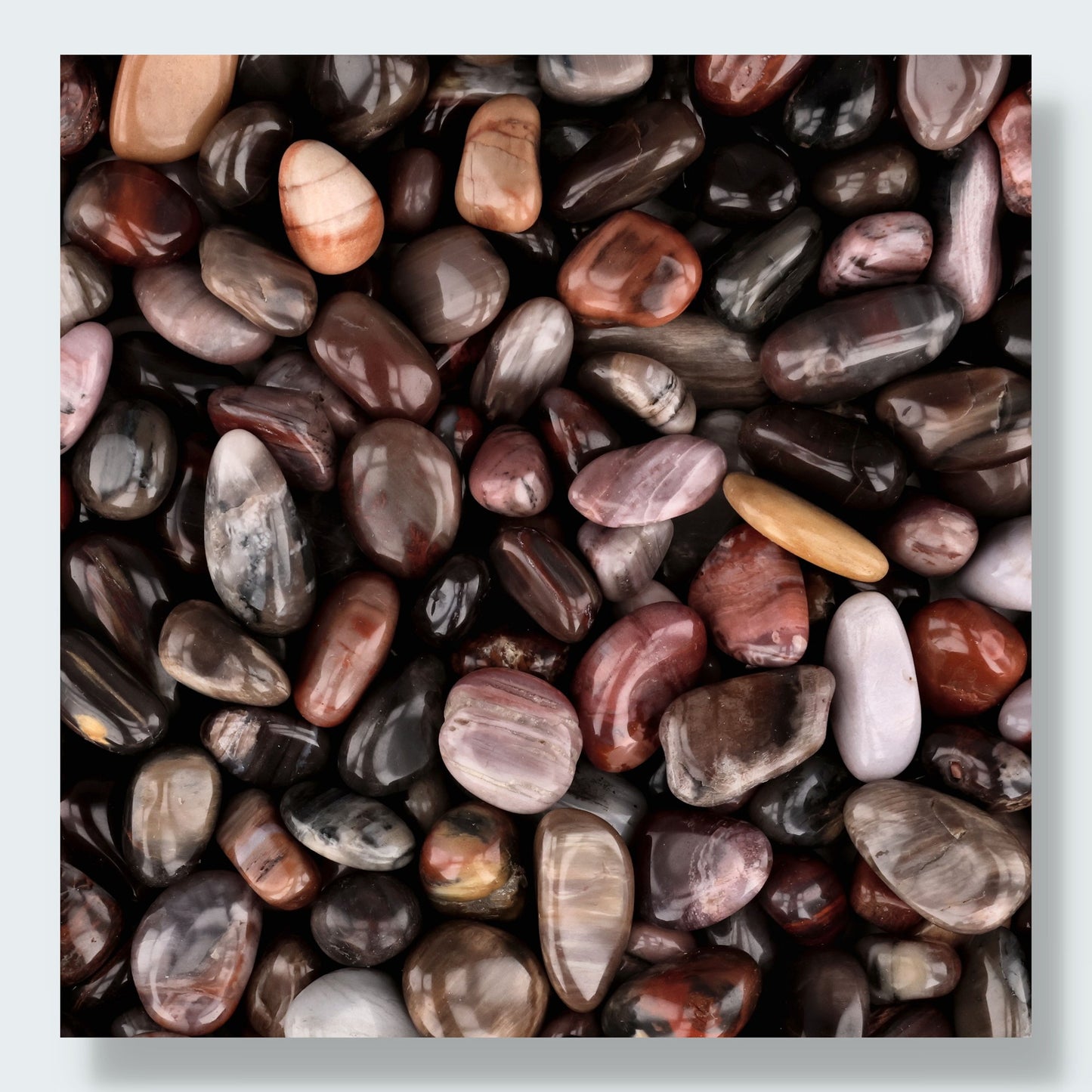 Versteinertes Holz Trommelsteine