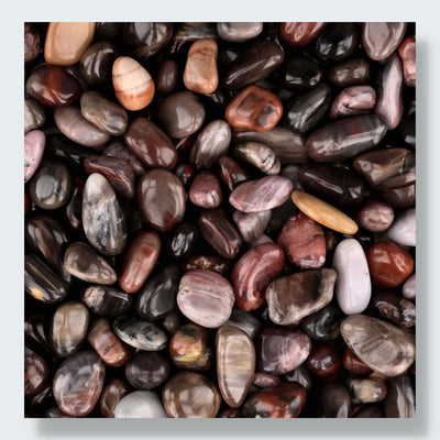 Versteinertes Holz Trommelsteine