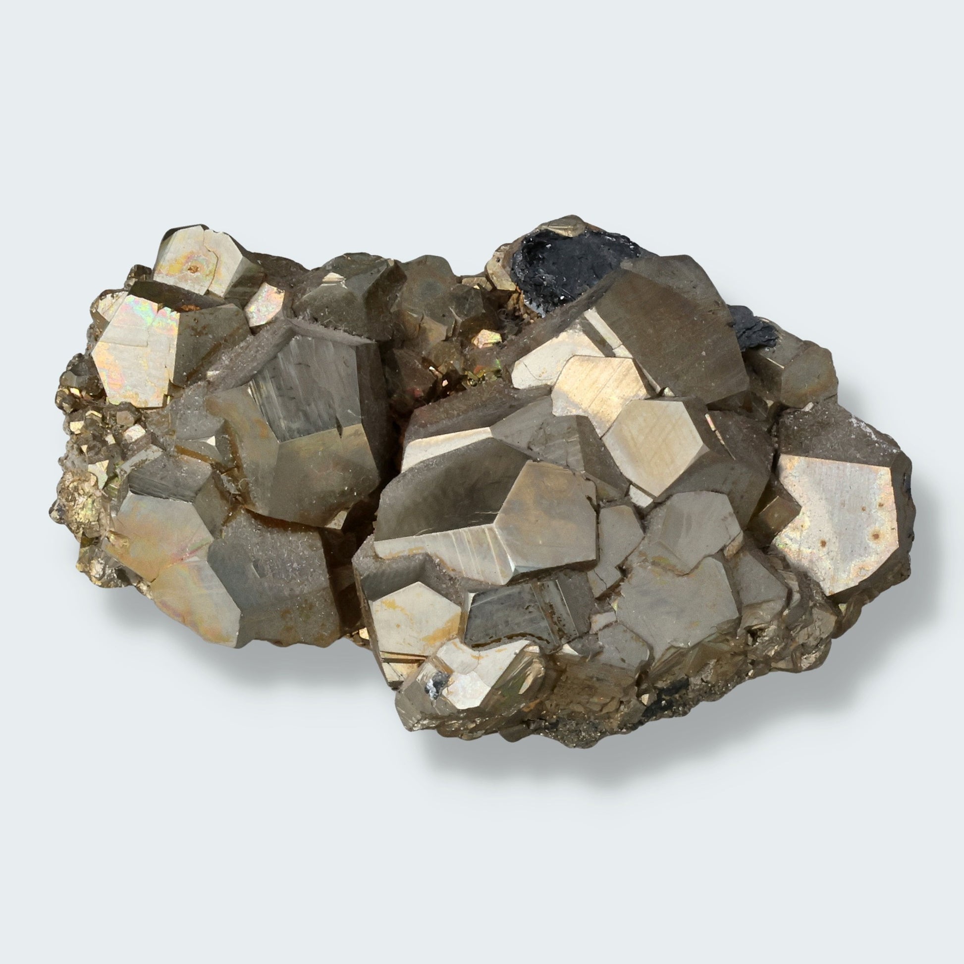 Pyrit aus Elba, Italien (64,8g)