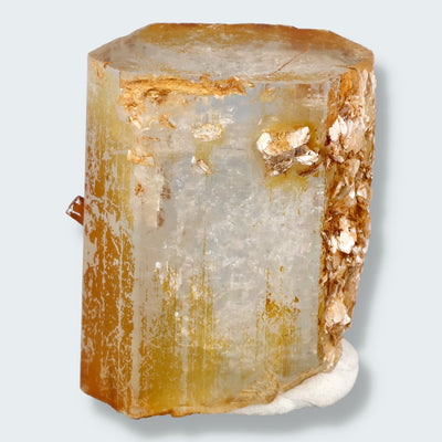 Aquamarin Kristall auf Feldspat aus Pakistan (31g)