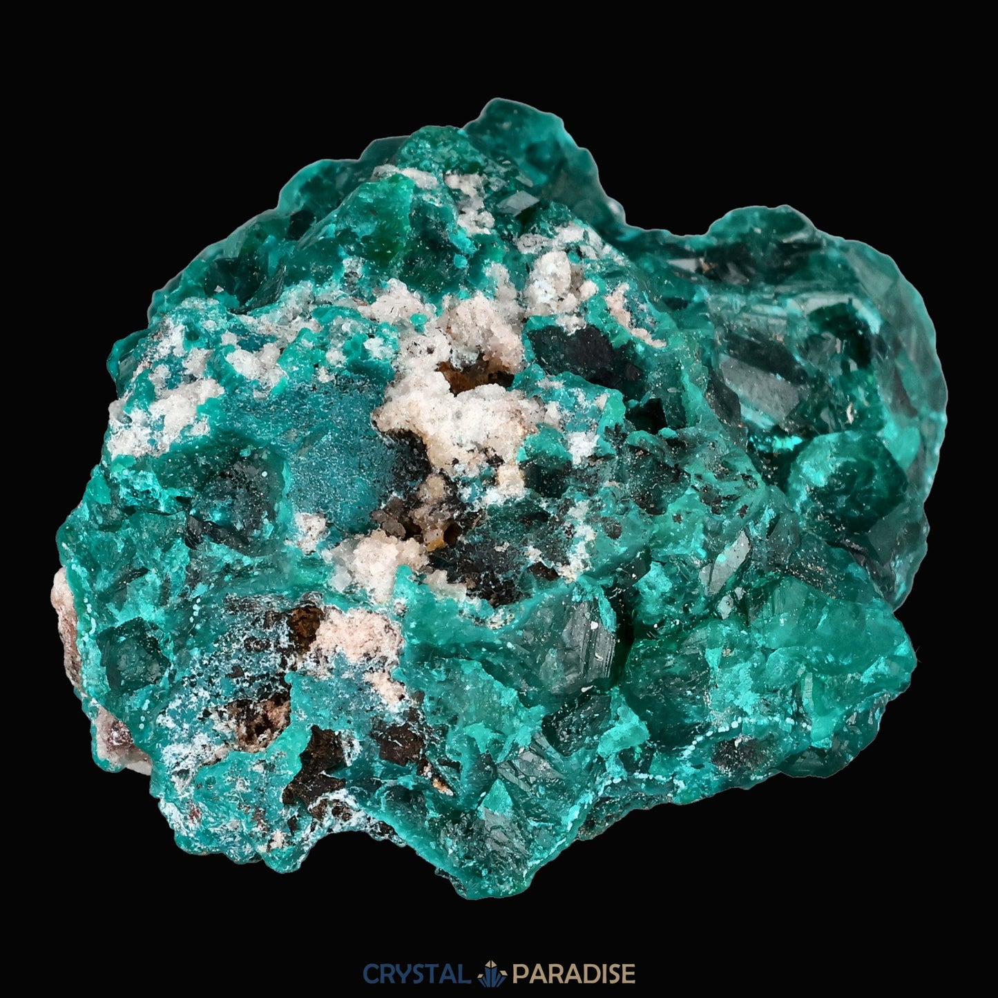 Dioptas aus dem Kongo (40,6) - crystal paradise