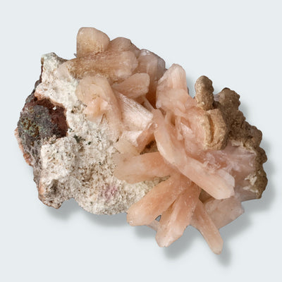 Stilbit Cluster Handstufe auf Zeolith aus Indien (158g)