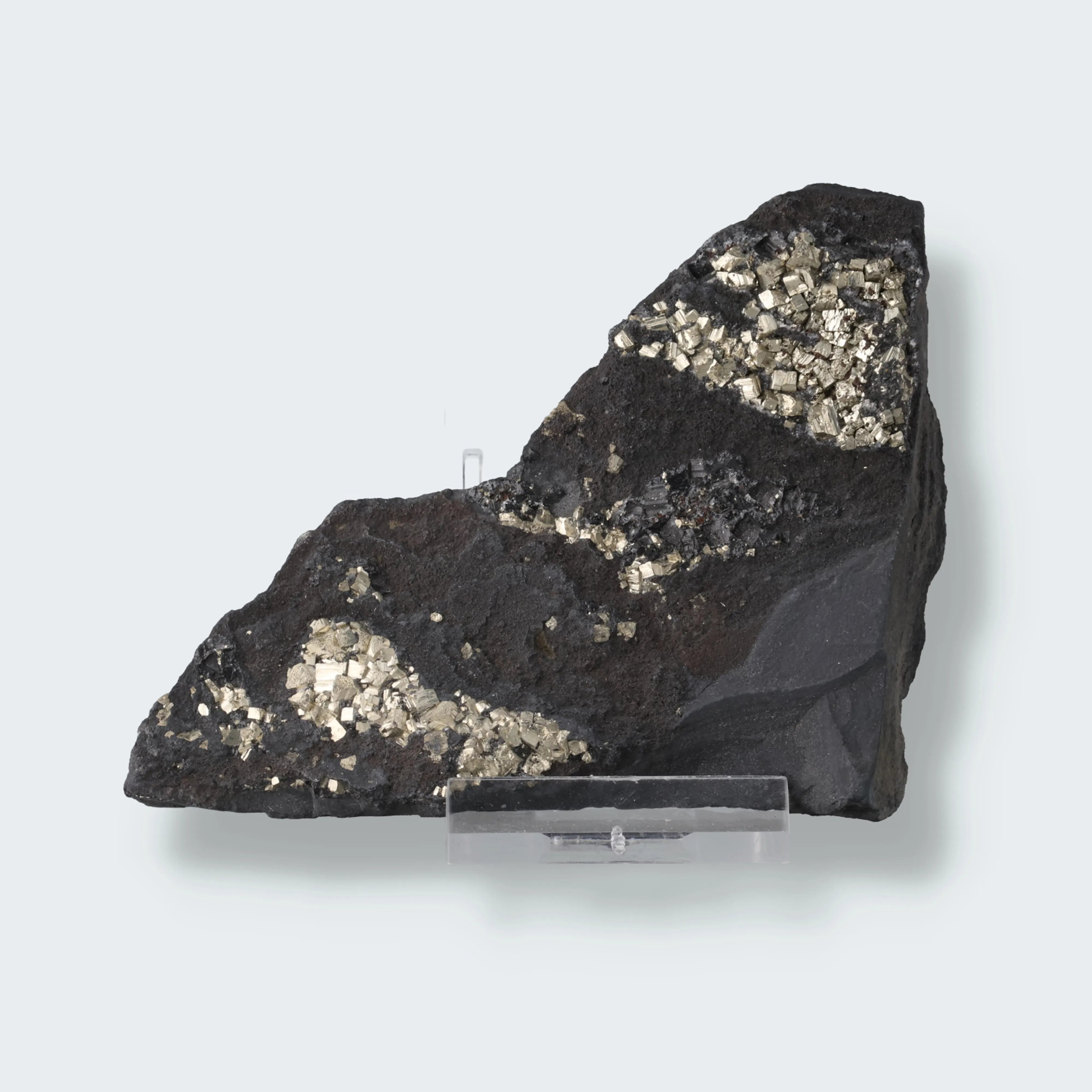 Pyrit auf Shungit aus Brasilien (188g)