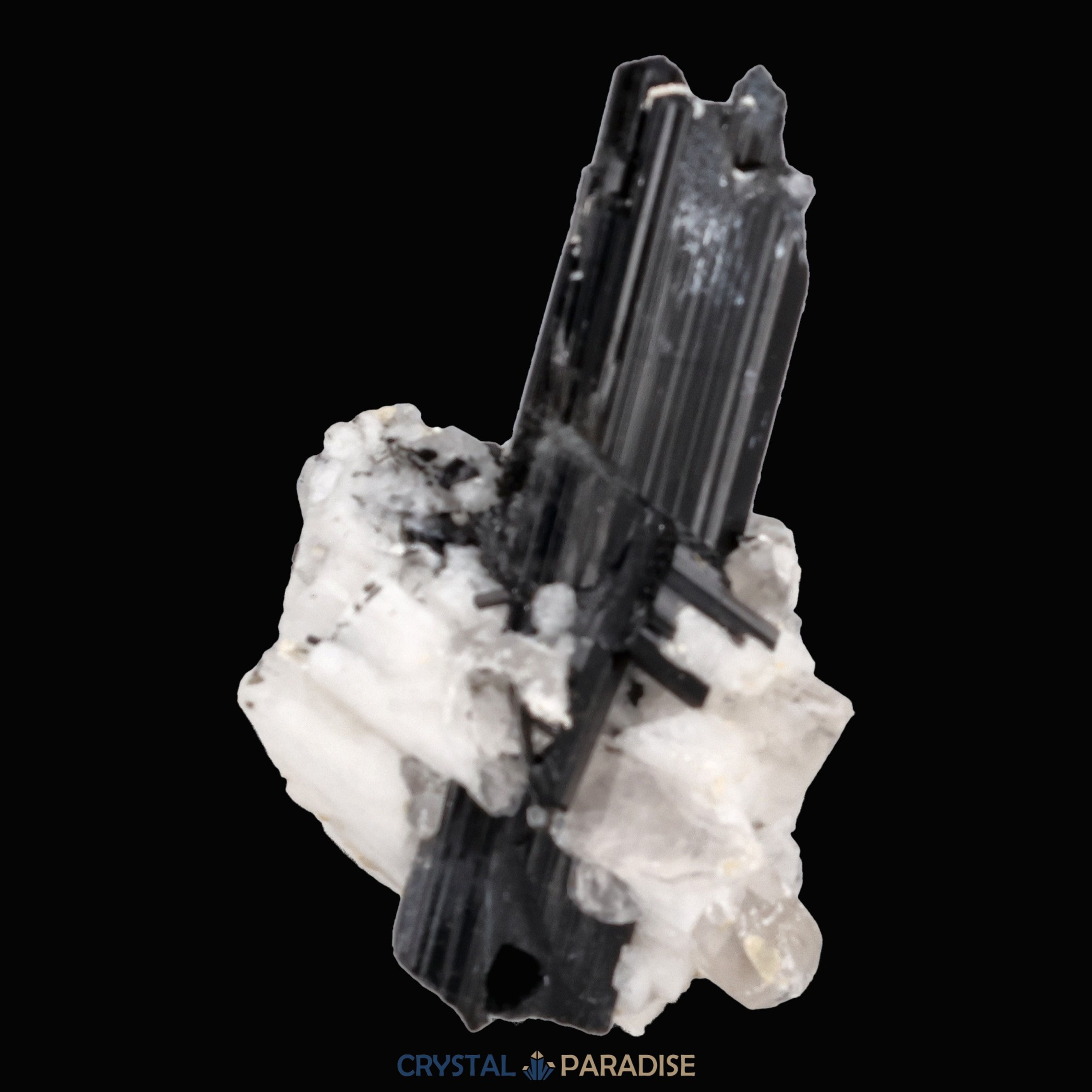Schwarzer Schörl Turmalin an Himalaya Bergkristall (16g) - crystal paradise