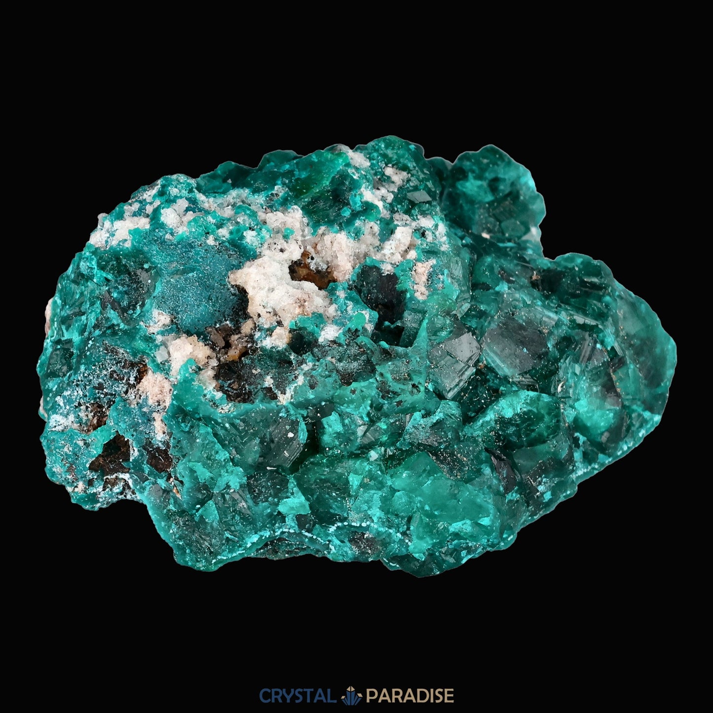 Dioptas aus dem Kongo (40,6) - crystal paradise