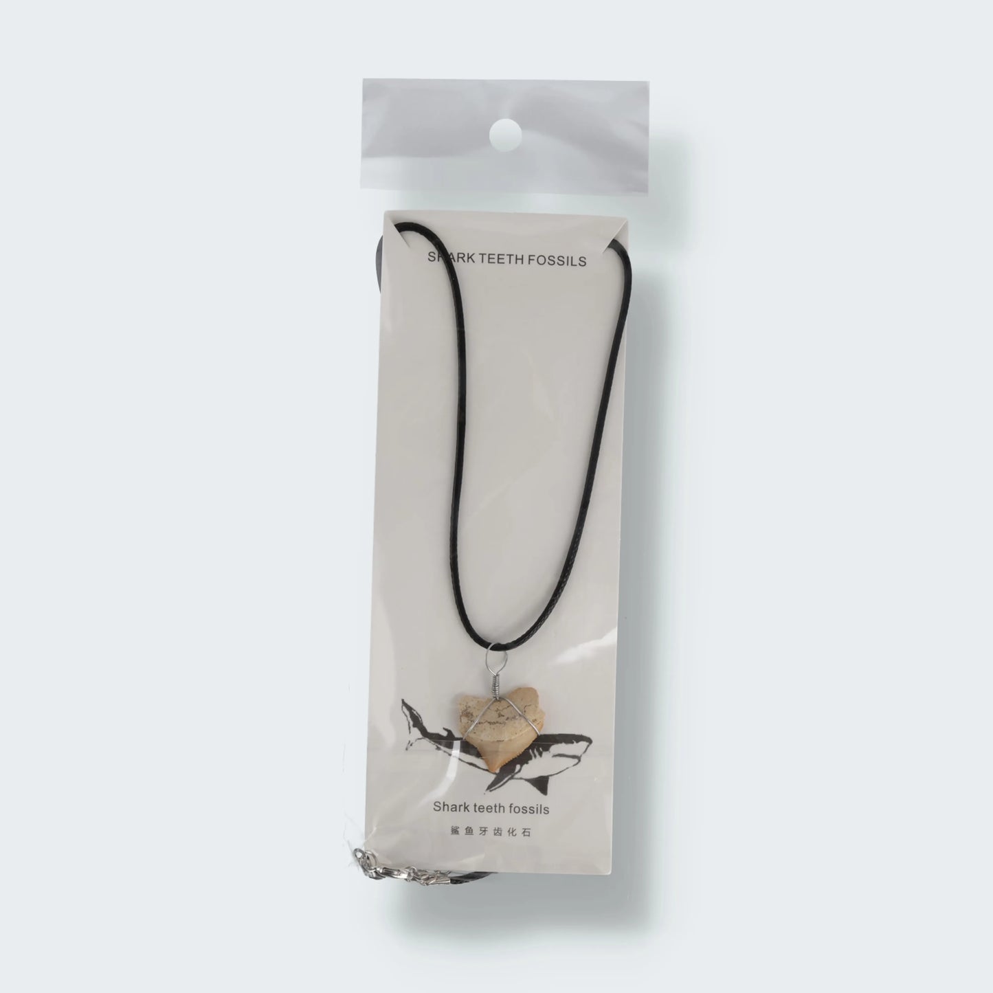 Haifischzahn Halskette (Fossil)