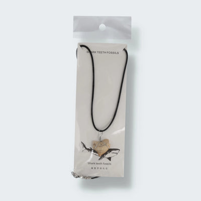 Haifischzahn Halskette (Fossil)