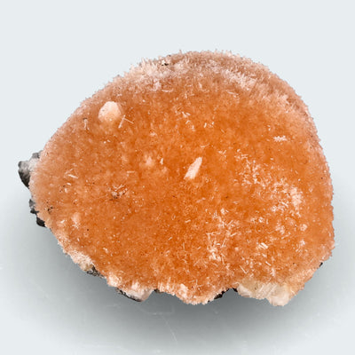 Thomsonit aus Pakistan größere Stufe (Kugel)