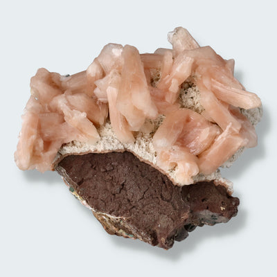 Stilbit Cluster Handstufe auf Zeolith aus Indien (256g)