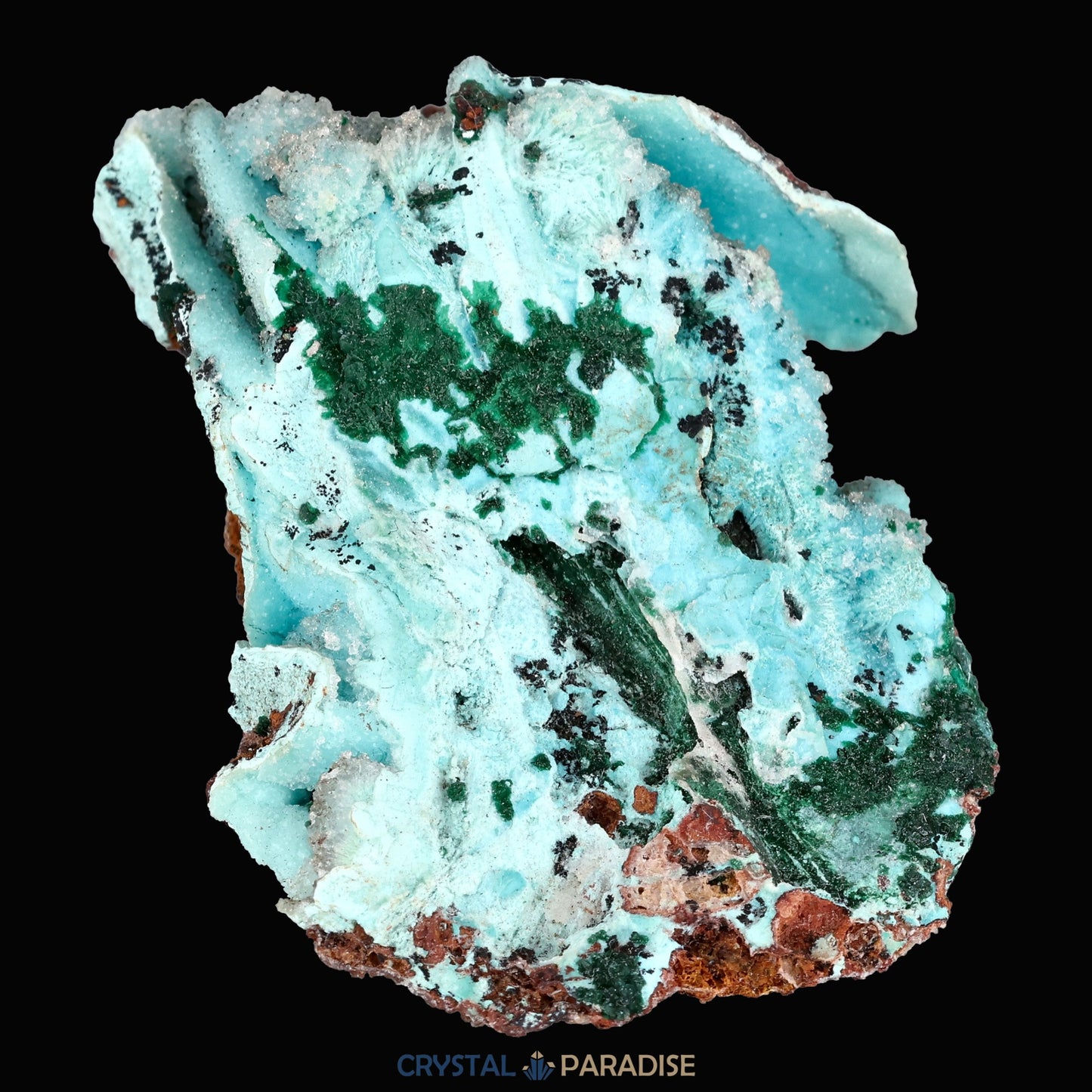 Chrysokoll Stufe aus Tenke-Fungurume, Kolwezi, Lualaba, DR Kongo (30g) - crystal paradise