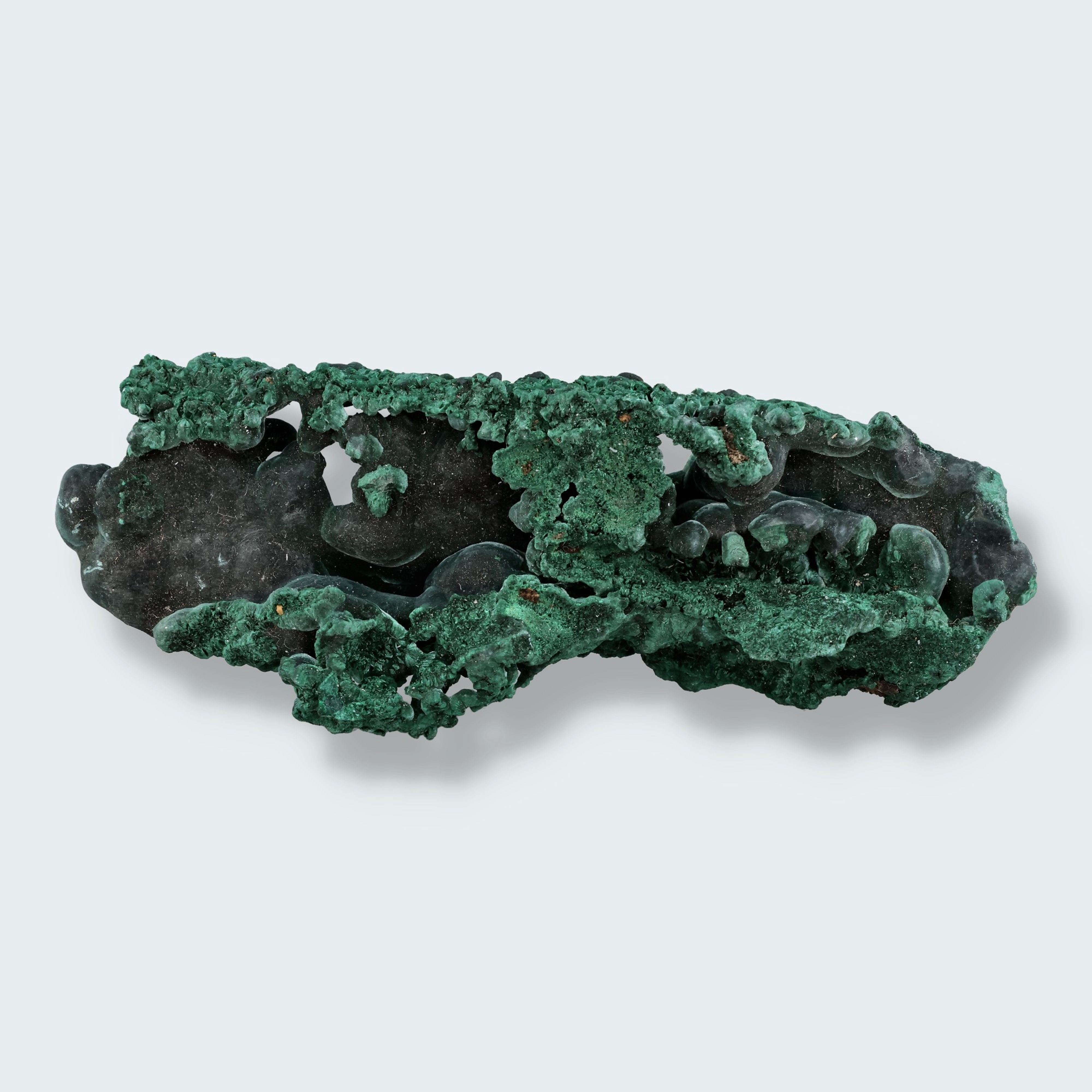 Velvet Samt Malachit Stufe aus der Tantara Mine, Kongo (150g)