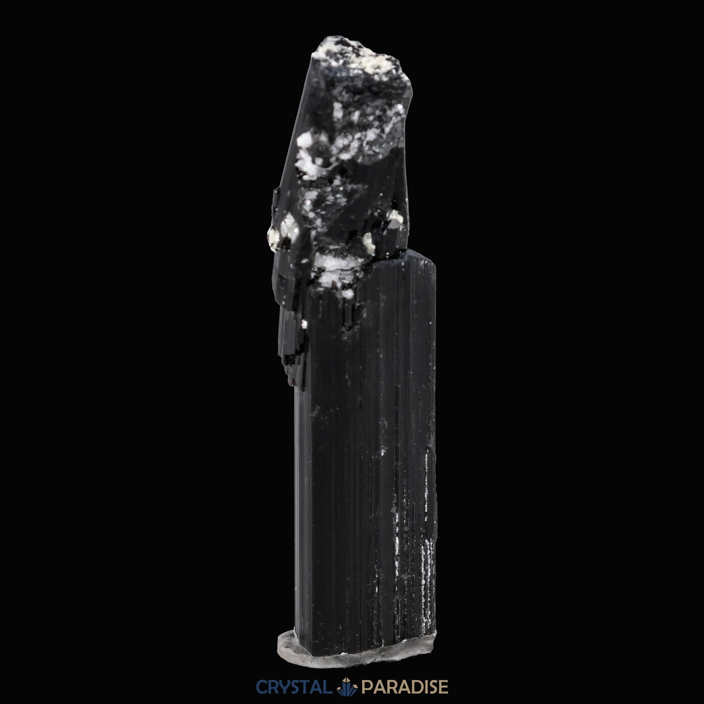 Schwarzer Schörl Turmalin an Himalaya Bergkristall (11,5g) - crystal paradise
