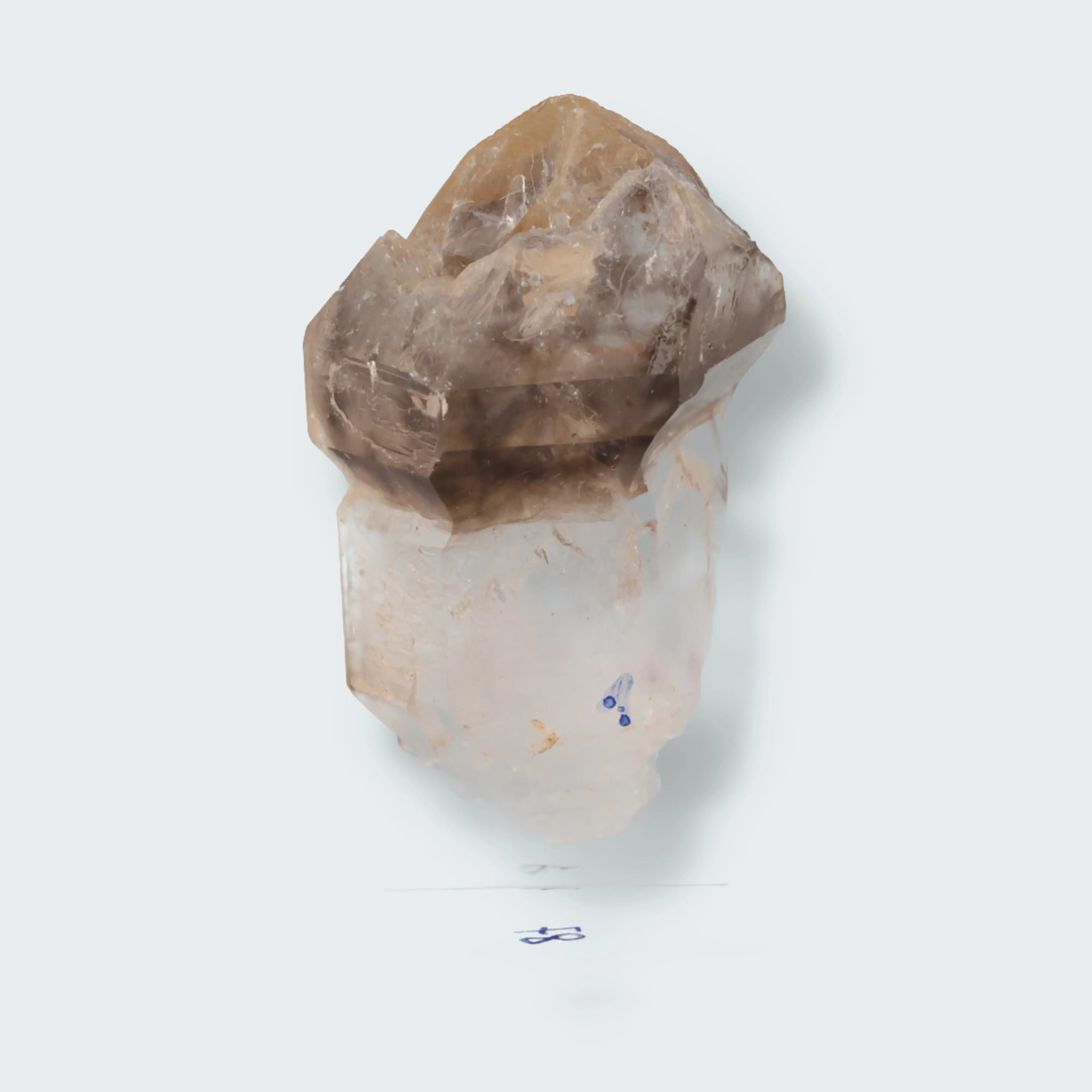 Zepter Rauchquarz mit Fensterwachstum aus Namibia (30g)