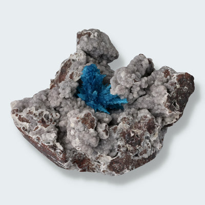 Canvansit auf Stilbit aus Poonah Indien (81g)