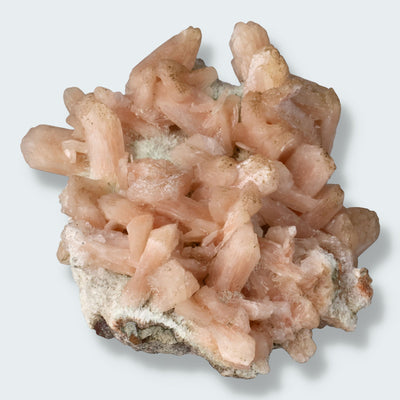 Stilbit Cluster Handstufe auf Zeolith aus Indien (304g)