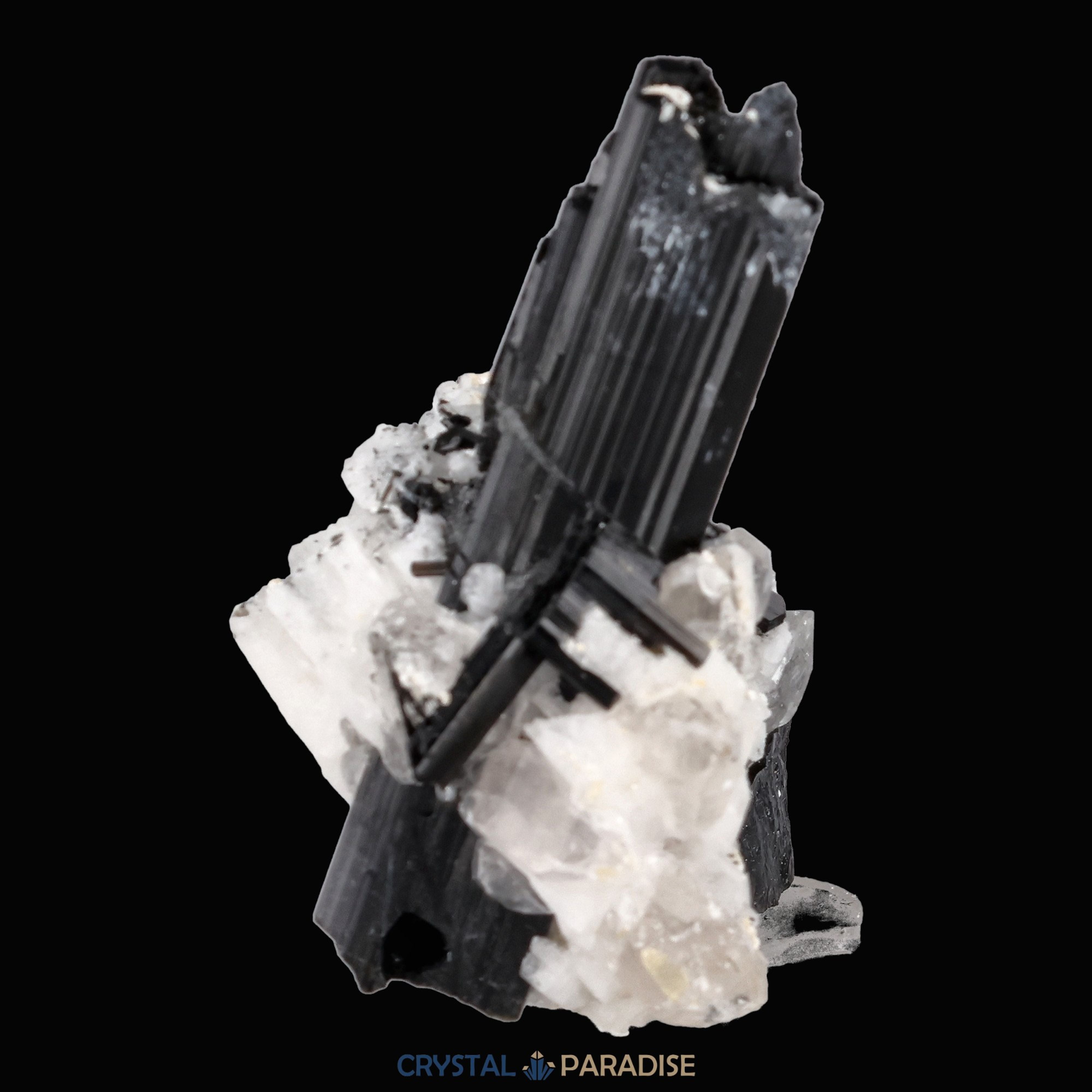 Schwarzer Schörl Turmalin an Himalaya Bergkristall (16g) - crystal paradise