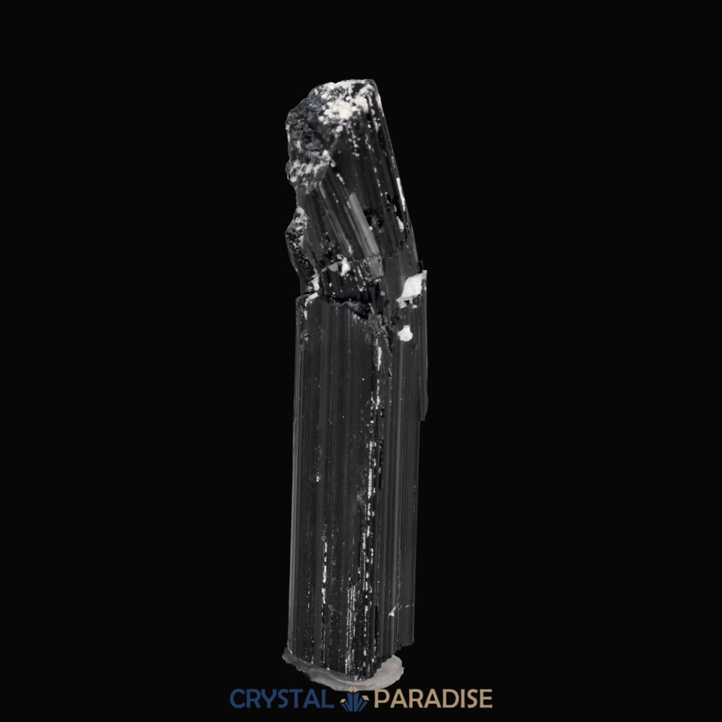 Schwarzer Schörl Turmalin an Himalaya Bergkristall (11,5g) - crystal paradise